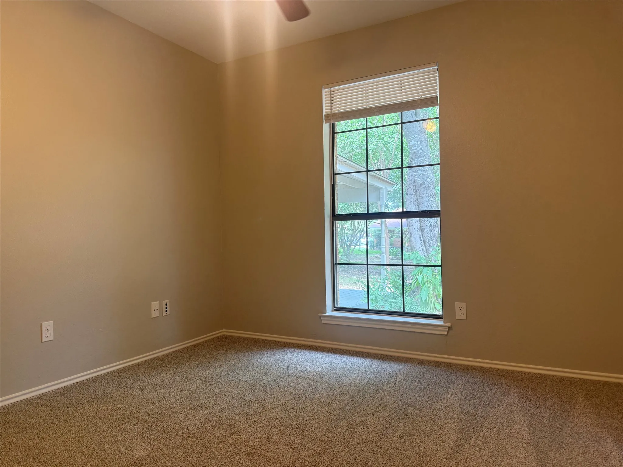 Room featuring neutral wall paint, carpeted flooring, a ceiling fan, and a window with blinds