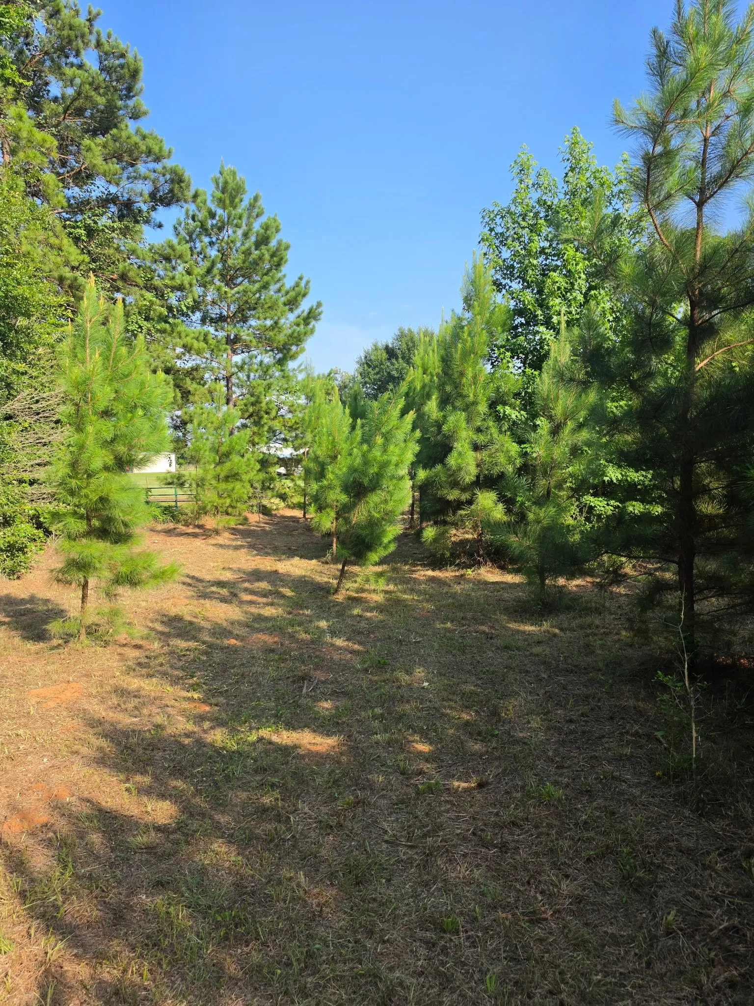Unimproved Land For Sale in Anderson County , 0000 W State Highway 294, Elkhart, Texas 75839, 0, 0, Garage spaces, 0 Sqft, built in 0, mls#21288565, Real Estate Agent in Elkhart, Homes For Sale in Anderson county, Homes For Sale in Elkhart, Realtor in Elkhart Texas, Real Estate Brokerage Independent Realty Texas, Luminita Cordes Realtor