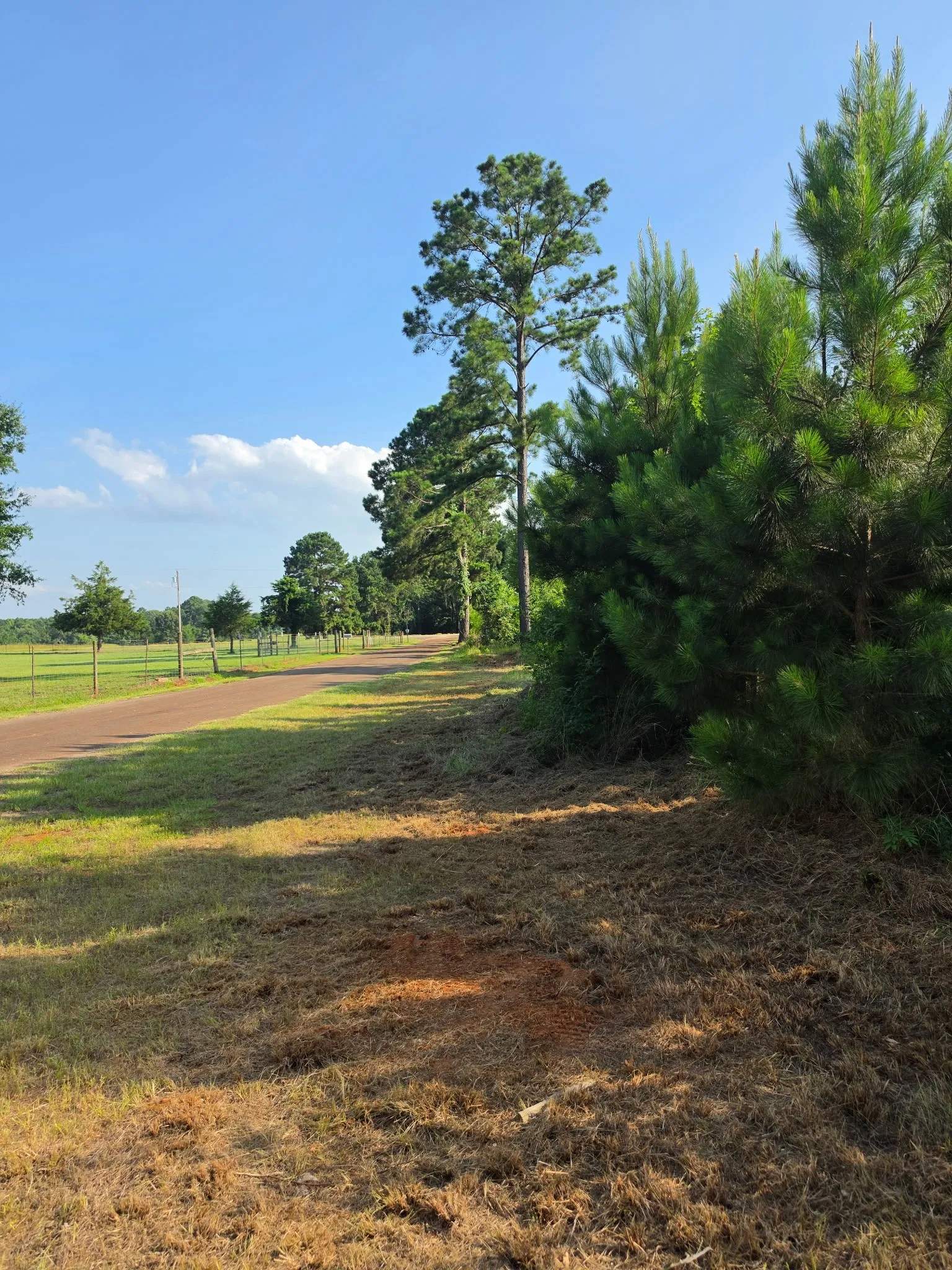 Unimproved Land For Sale in Anderson County , 0000 W State Highway 294, Elkhart, Texas 75839, 0, 0, Garage spaces, 0 Sqft, built in 0, mls#21288565, Real Estate Agent in Elkhart, Homes For Sale in Anderson county, Homes For Sale in Elkhart, Realtor in Elkhart Texas, Real Estate Brokerage Independent Realty Texas, Luminita Cordes Realtor