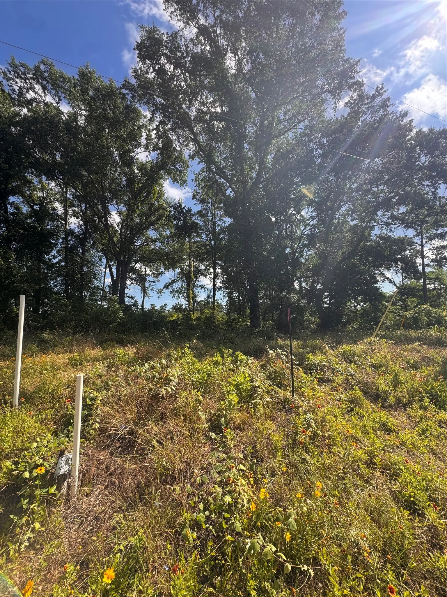 Unimproved Land For Sale in Anderson County , 0000 W State Highway 294, Elkhart, Texas 75839, 0, 0, Garage spaces, 0 Sqft, built in 0, mls#21288565, Real Estate Agent in Elkhart, Homes For Sale in Anderson county, Homes For Sale in Elkhart, Realtor in Elkhart Texas, Real Estate Brokerage Independent Realty Texas, Luminita Cordes Realtor