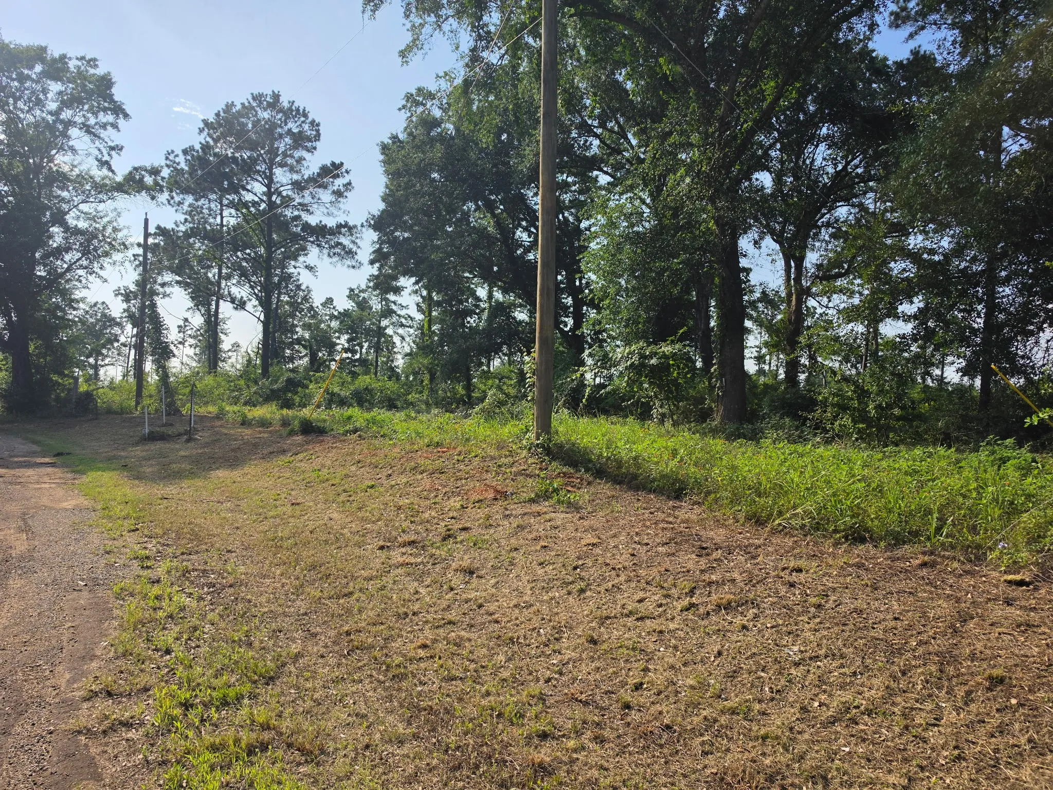 Unimproved Land For Sale in Anderson County , 0000 W State Highway 294, Elkhart, Texas 75839, 0, 0, Garage spaces, 0 Sqft, built in 0, mls#21288565, Real Estate Agent in Elkhart, Homes For Sale in Anderson county, Homes For Sale in Elkhart, Realtor in Elkhart Texas, Real Estate Brokerage Independent Realty Texas, Luminita Cordes Realtor