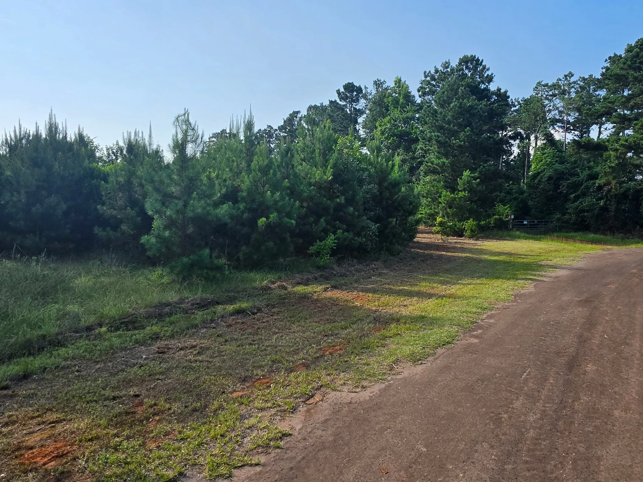 Unimproved Land For Sale in Anderson County , 0000 W State Highway 294, Elkhart, Texas 75839, 0, 0, Garage spaces, 0 Sqft, built in 0, mls#21288565, Real Estate Agent in Elkhart, Homes For Sale in Anderson county, Homes For Sale in Elkhart, Realtor in Elkhart Texas, Real Estate Brokerage Independent Realty Texas, Luminita Cordes Realtor