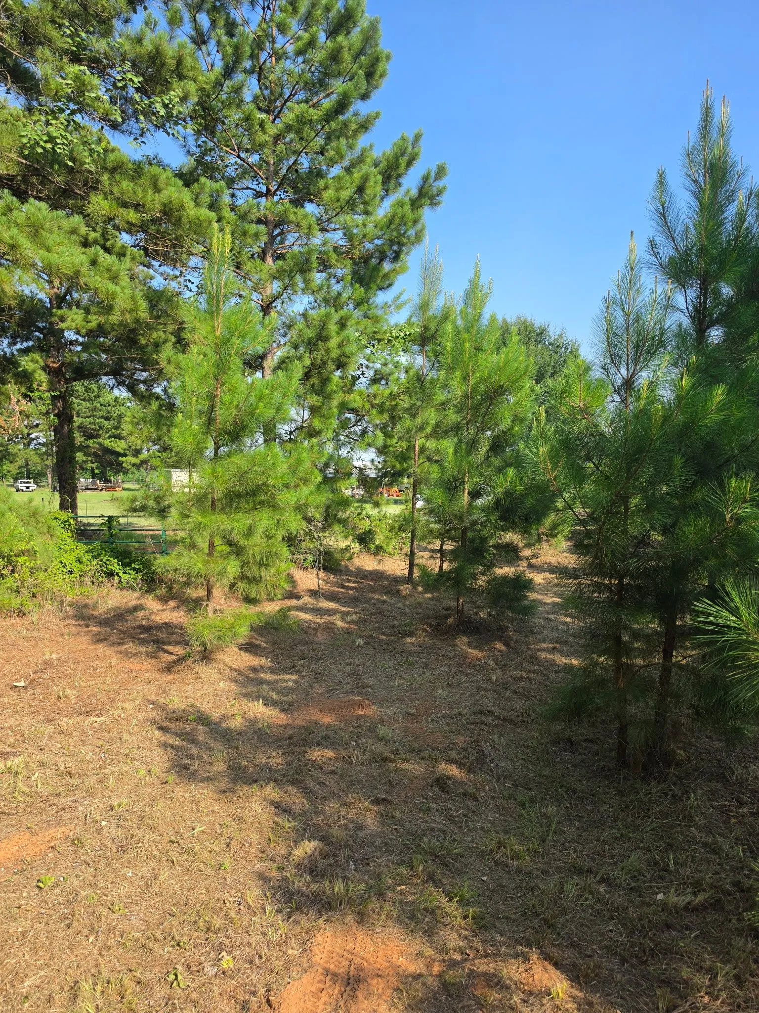 Unimproved Land For Sale in Anderson County , 0000 W State Highway 294, Elkhart, Texas 75839, 0, 0, Garage spaces, 0 Sqft, built in 0, mls#21288565, Real Estate Agent in Elkhart, Homes For Sale in Anderson county, Homes For Sale in Elkhart, Realtor in Elkhart Texas, Real Estate Brokerage Independent Realty Texas, Luminita Cordes Realtor