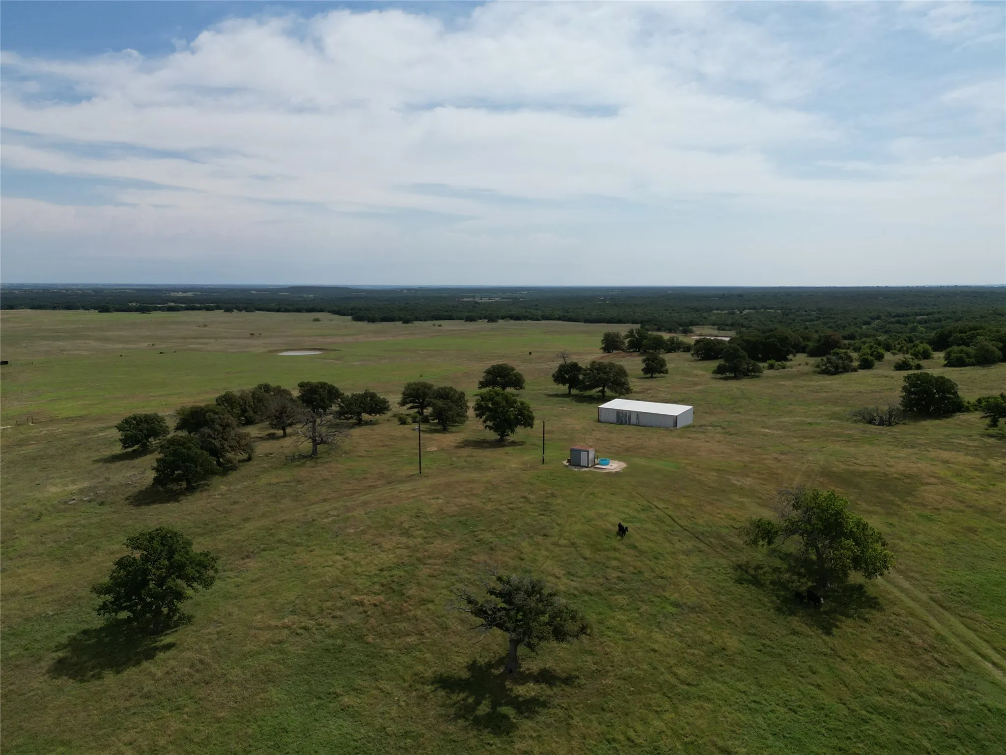 Ranch For Sale in Montague County , 2116 Fm-3301, Nocona, Texas 76255, 0, 0, Garage spaces, 0 Sqft, built in 0, mls#21285175, Real Estate Agent in Nocona, Homes For Sale in Montague county, Homes For Sale in Nocona, Realtor in Nocona Texas, Real Estate Brokerage Independent Realty Texas, Luminita Cordes Realtor
