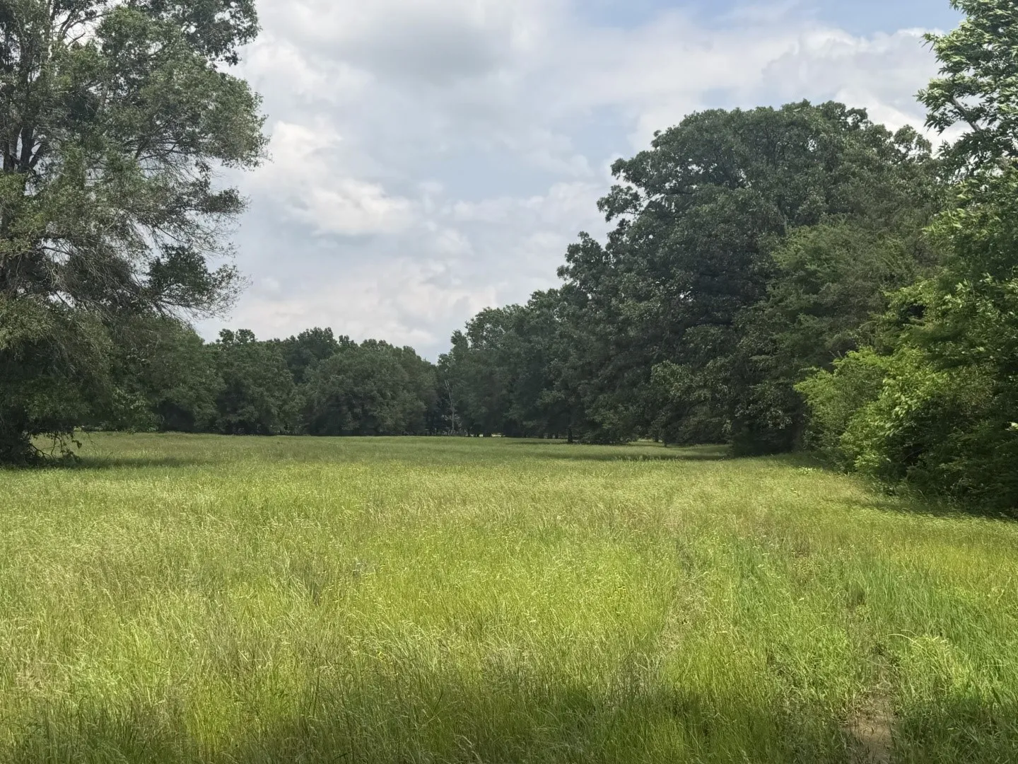 Single Family Residence For Sale in Titus County , 276 Fm 71, Mt Pleasant, Texas 75455, 3 Bedroom, 2 Bathroom, 16 Garage spaces, 1,647 Sqft, built in 2022, Price $949,900, mls#21288678, Real Estate Agent in Mt Pleasant, Homes For Sale in Titus county, Homes For Sale in Mt Pleasant, Realtor in Mt Pleasant Texas, Real Estate Brokerage Independent Realty Texas, Luminita Cordes Realtor