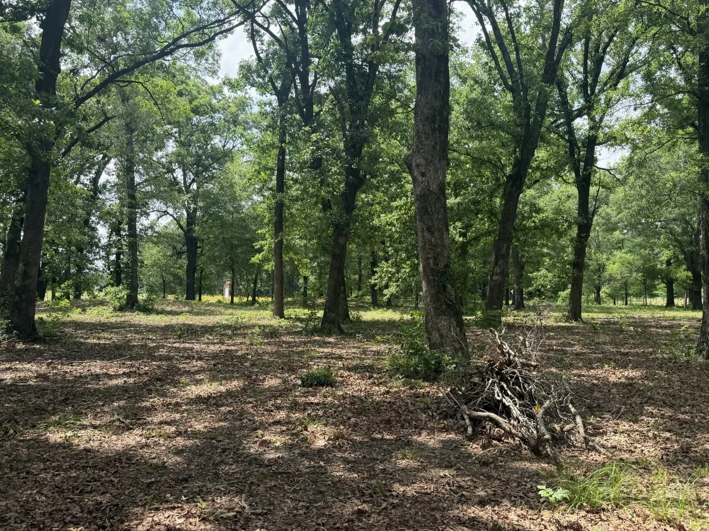 Single Family Residence For Sale in Titus County , 276 Fm 71, Mt Pleasant, Texas 75455, 3 Bedroom, 2 Bathroom, 16 Garage spaces, 1,647 Sqft, built in 2022, Price $949,900, mls#21288678, Real Estate Agent in Mt Pleasant, Homes For Sale in Titus county, Homes For Sale in Mt Pleasant, Realtor in Mt Pleasant Texas, Real Estate Brokerage Independent Realty Texas, Luminita Cordes Realtor