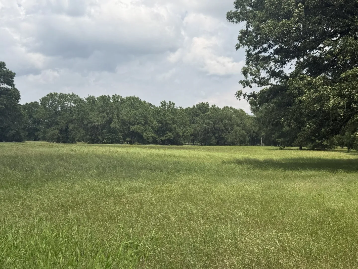 Single Family Residence For Sale in Titus County , 276 Fm 71, Mt Pleasant, Texas 75455, 3 Bedroom, 2 Bathroom, 16 Garage spaces, 1,647 Sqft, built in 2022, Price $949,900, mls#21288678, Real Estate Agent in Mt Pleasant, Homes For Sale in Titus county, Homes For Sale in Mt Pleasant, Realtor in Mt Pleasant Texas, Real Estate Brokerage Independent Realty Texas, Luminita Cordes Realtor
