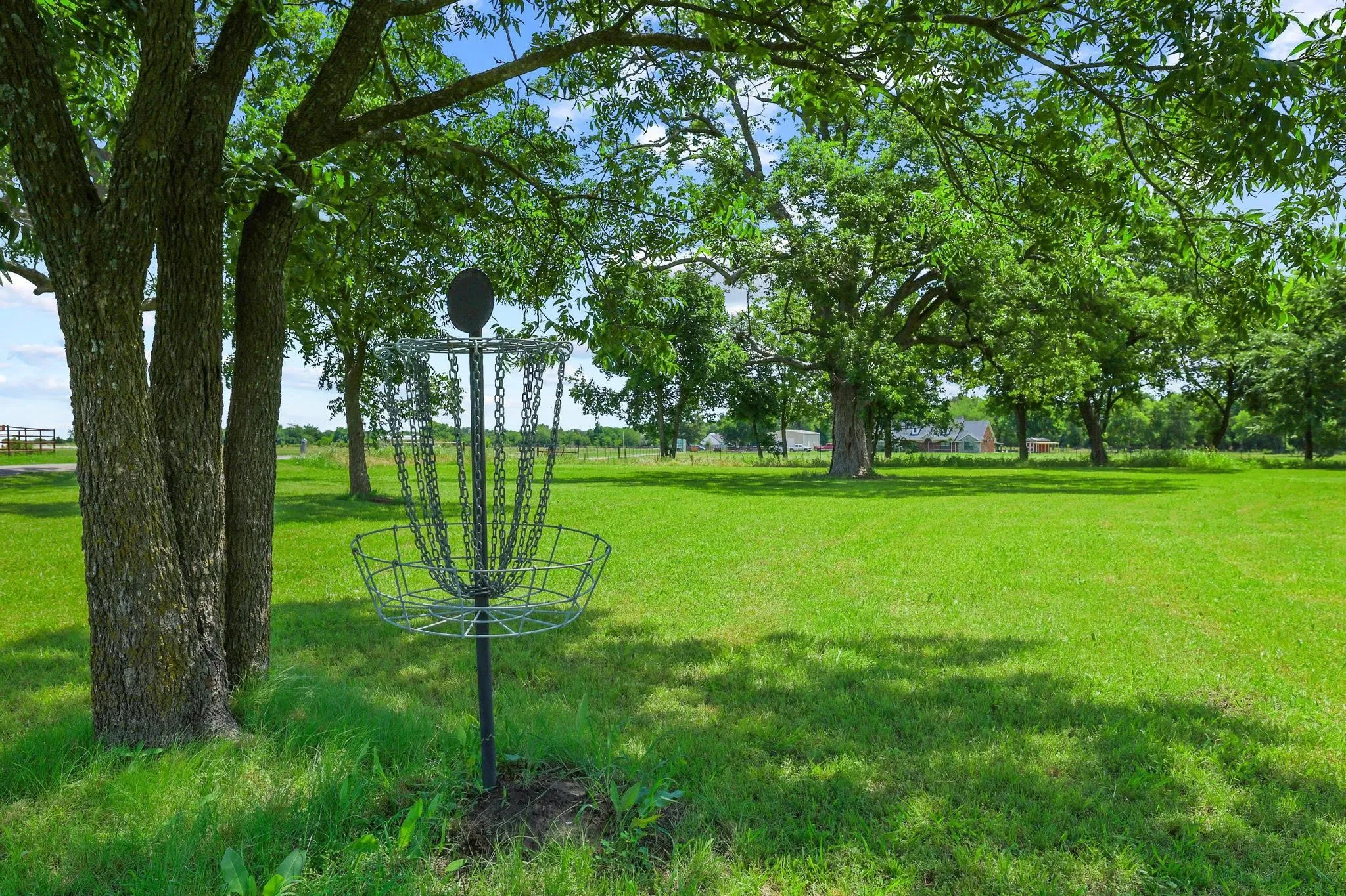 disc golf onsite