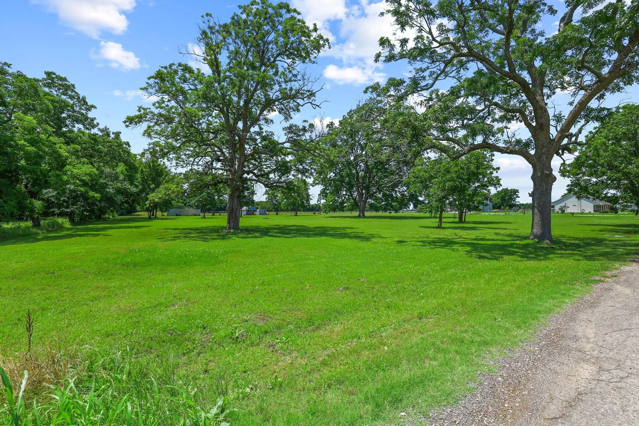 Improved Land For Sale in Fannin County , 652 County Road 2850, Honey Grove, Texas 75446, 0, 0, Garage spaces, 0 Sqft, built in 2024, mls#21288728, Real Estate Agent in Honey Grove, Homes For Sale in Fannin county, Homes For Sale in Honey Grove, Realtor in Honey Grove Texas, Real Estate Brokerage Independent Realty Texas, Luminita Cordes Realtor