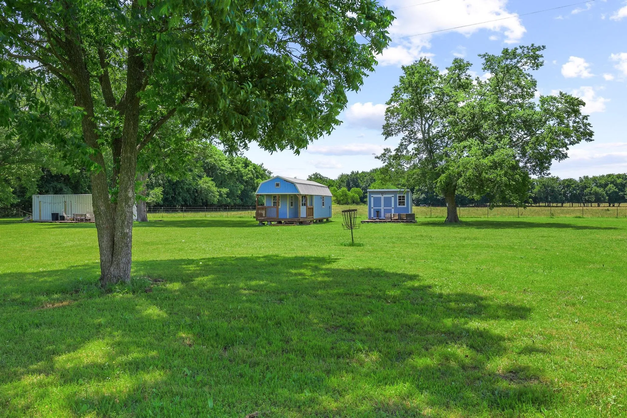 All grass and gorgeous trees