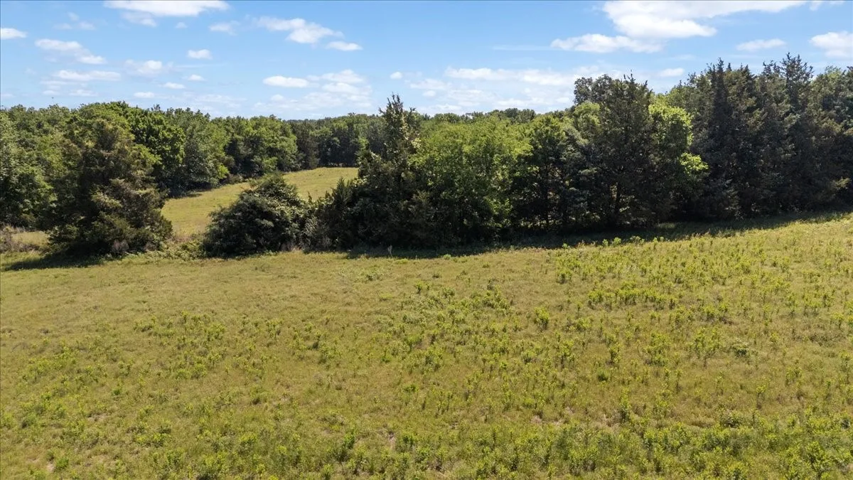 Unimproved Land For Sale in Hopkins County , 279 County Road 2395, Winnsboro, Texas 75494, 0, 0, Garage spaces, 0 Sqft, built in 0, Price $637,500, mls#21288778, Real Estate Agent in Winnsboro, Homes For Sale in Hopkins county, Homes For Sale in Winnsboro, Realtor in Winnsboro Texas, Real Estate Brokerage Independent Realty Texas, Luminita Cordes Realtor