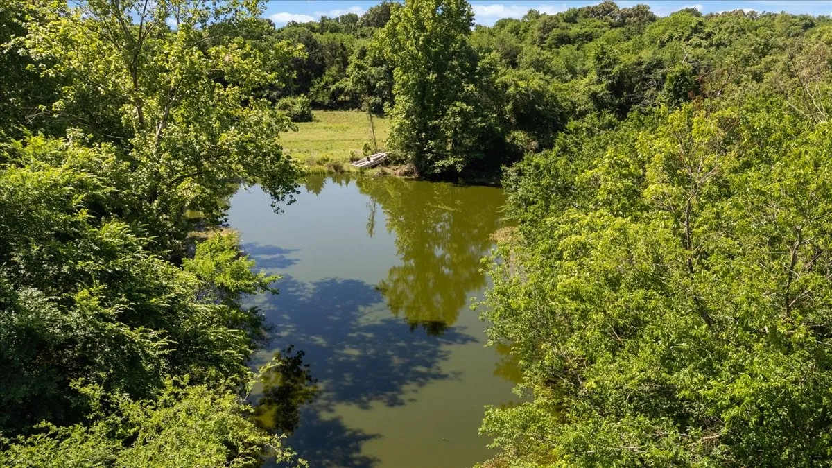 Unimproved Land For Sale in Hopkins County , 279 County Road 2395, Winnsboro, Texas 75494, 0, 0, Garage spaces, 0 Sqft, built in 0, Price $637,500, mls#21288778, Real Estate Agent in Winnsboro, Homes For Sale in Hopkins county, Homes For Sale in Winnsboro, Realtor in Winnsboro Texas, Real Estate Brokerage Independent Realty Texas, Luminita Cordes Realtor