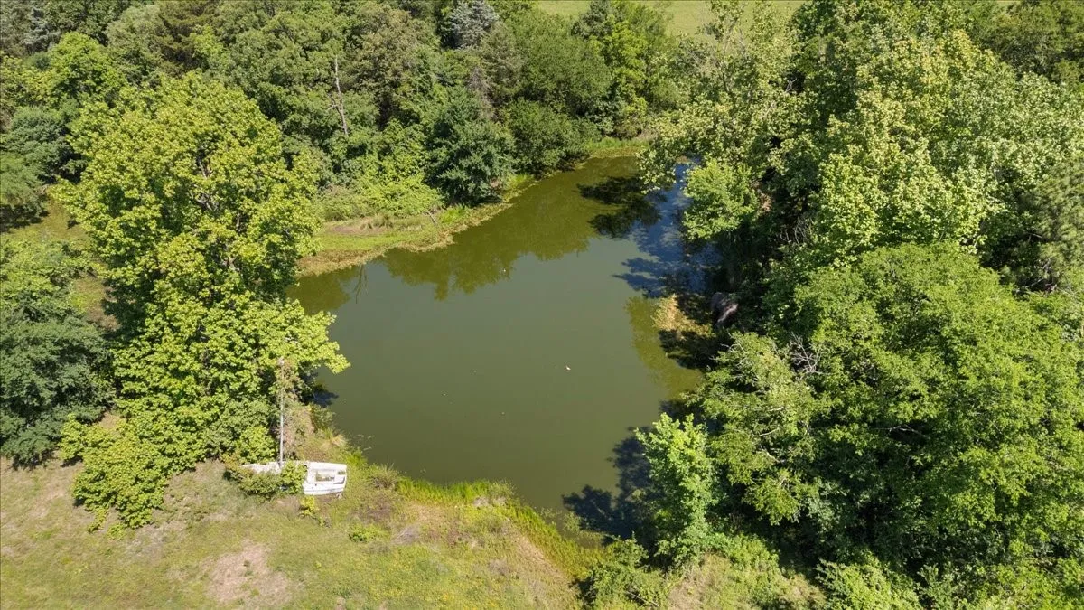 Unimproved Land For Sale in Hopkins County , 279 County Road 2395, Winnsboro, Texas 75494, 0, 0, Garage spaces, 0 Sqft, built in 0, Price $637,500, mls#21288778, Real Estate Agent in Winnsboro, Homes For Sale in Hopkins county, Homes For Sale in Winnsboro, Realtor in Winnsboro Texas, Real Estate Brokerage Independent Realty Texas, Luminita Cordes Realtor