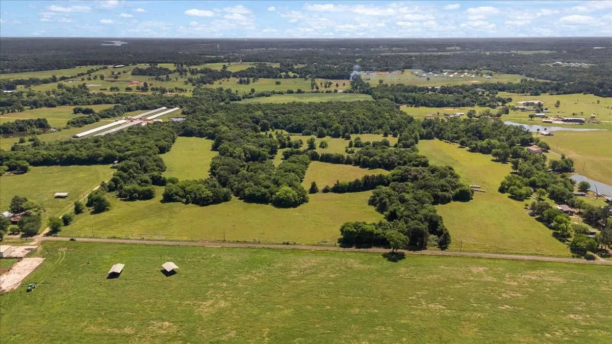 Unimproved Land For Sale in Hopkins County , 279 County Road 2395, Winnsboro, Texas 75494, 0, 0, Garage spaces, 0 Sqft, built in 0, Price $637,500, mls#21288778, Real Estate Agent in Winnsboro, Homes For Sale in Hopkins county, Homes For Sale in Winnsboro, Realtor in Winnsboro Texas, Real Estate Brokerage Independent Realty Texas, Luminita Cordes Realtor
