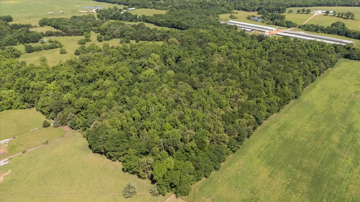 Unimproved Land For Sale in Hopkins County , 279 County Road 2395, Winnsboro, Texas 75494, 0, 0, Garage spaces, 0 Sqft, built in 0, Price $637,500, mls#21288778, Real Estate Agent in Winnsboro, Homes For Sale in Hopkins county, Homes For Sale in Winnsboro, Realtor in Winnsboro Texas, Real Estate Brokerage Independent Realty Texas, Luminita Cordes Realtor