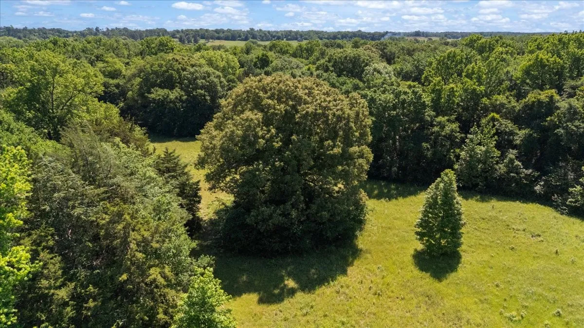 Unimproved Land For Sale in Hopkins County , 279 County Road 2395, Winnsboro, Texas 75494, 0, 0, Garage spaces, 0 Sqft, built in 0, Price $637,500, mls#21288778, Real Estate Agent in Winnsboro, Homes For Sale in Hopkins county, Homes For Sale in Winnsboro, Realtor in Winnsboro Texas, Real Estate Brokerage Independent Realty Texas, Luminita Cordes Realtor