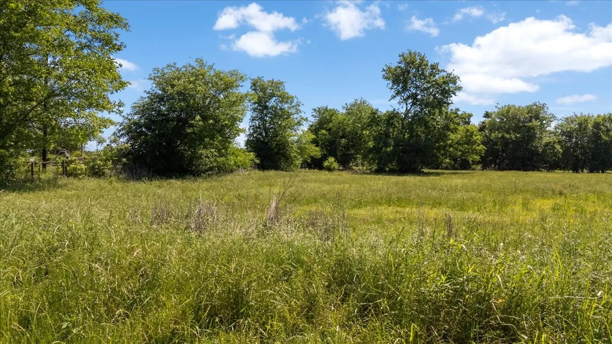 Unimproved Land For Sale in Hopkins County , 279 County Road 2395, Winnsboro, Texas 75494, 0, 0, Garage spaces, 0 Sqft, built in 0, Price $637,500, mls#21288778, Real Estate Agent in Winnsboro, Homes For Sale in Hopkins county, Homes For Sale in Winnsboro, Realtor in Winnsboro Texas, Real Estate Brokerage Independent Realty Texas, Luminita Cordes Realtor