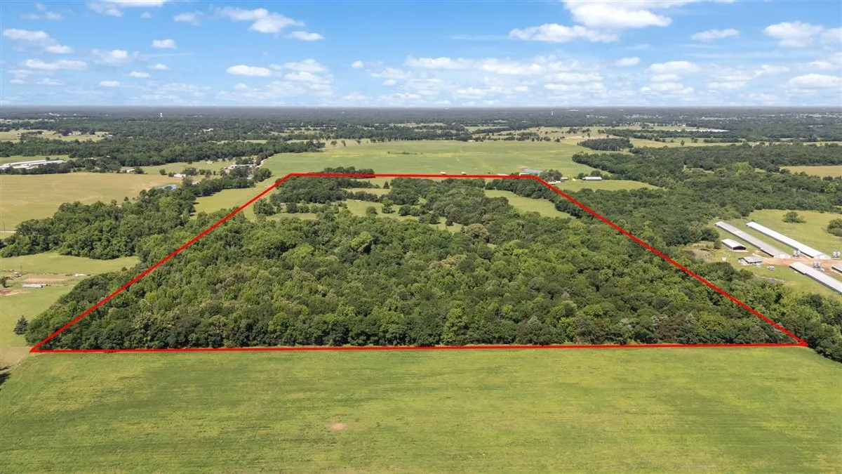 Unimproved Land For Sale in Hopkins County , 279 County Road 2395, Winnsboro, Texas 75494, 0, 0, Garage spaces, 0 Sqft, built in 0, Price $637,500, mls#21288778, Real Estate Agent in Winnsboro, Homes For Sale in Hopkins county, Homes For Sale in Winnsboro, Realtor in Winnsboro Texas, Real Estate Brokerage Independent Realty Texas, Luminita Cordes Realtor