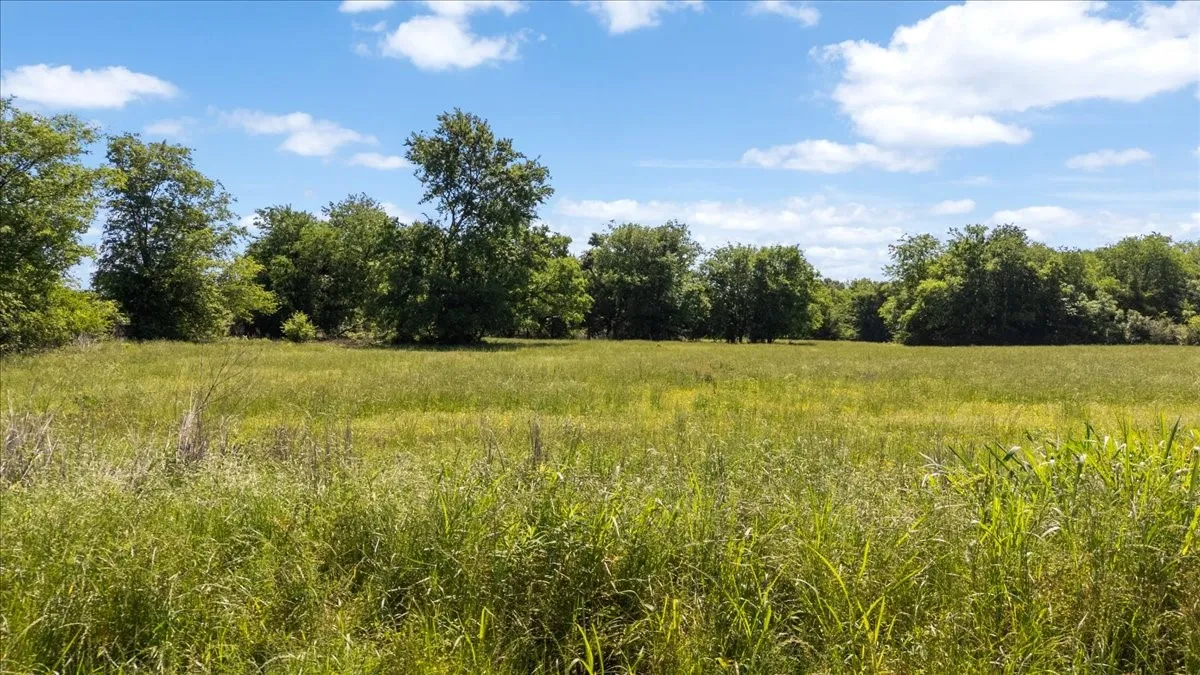 Unimproved Land For Sale in Hopkins County , 279 County Road 2395, Winnsboro, Texas 75494, 0, 0, Garage spaces, 0 Sqft, built in 0, Price $637,500, mls#21288778, Real Estate Agent in Winnsboro, Homes For Sale in Hopkins county, Homes For Sale in Winnsboro, Realtor in Winnsboro Texas, Real Estate Brokerage Independent Realty Texas, Luminita Cordes Realtor