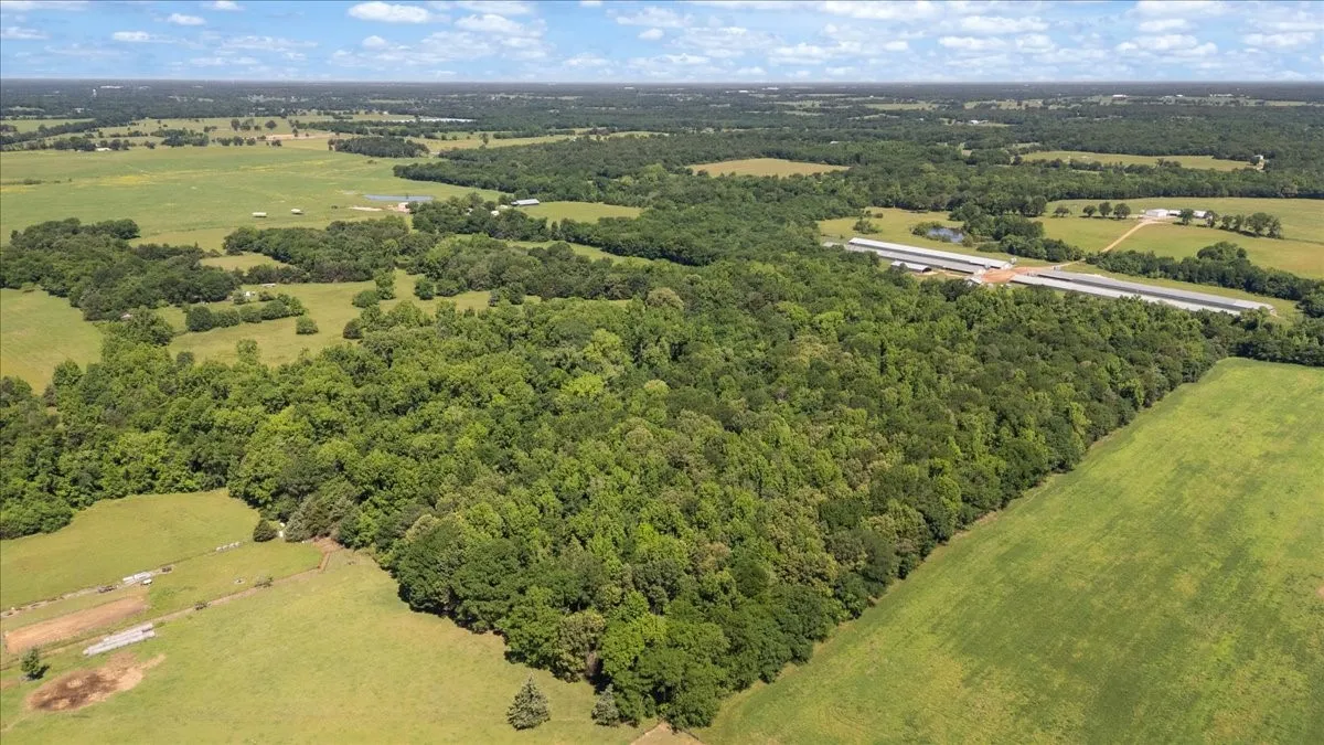 Unimproved Land For Sale in Hopkins County , 279 County Road 2395, Winnsboro, Texas 75494, 0, 0, Garage spaces, 0 Sqft, built in 0, Price $637,500, mls#21288778, Real Estate Agent in Winnsboro, Homes For Sale in Hopkins county, Homes For Sale in Winnsboro, Realtor in Winnsboro Texas, Real Estate Brokerage Independent Realty Texas, Luminita Cordes Realtor