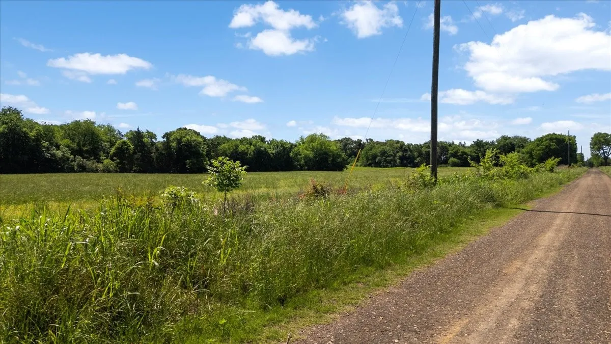 Unimproved Land For Sale in Hopkins County , 279 County Road 2395, Winnsboro, Texas 75494, 0, 0, Garage spaces, 0 Sqft, built in 0, Price $637,500, mls#21288778, Real Estate Agent in Winnsboro, Homes For Sale in Hopkins county, Homes For Sale in Winnsboro, Realtor in Winnsboro Texas, Real Estate Brokerage Independent Realty Texas, Luminita Cordes Realtor