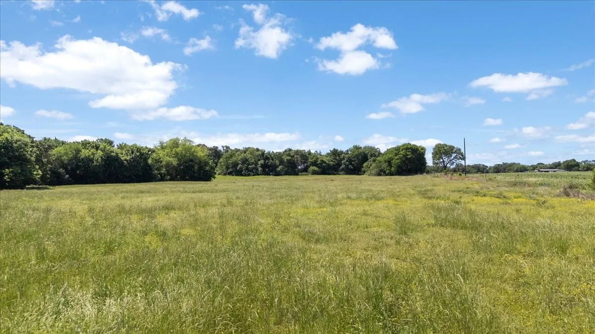 Unimproved Land For Sale in Hopkins County , 279 County Road 2395, Winnsboro, Texas 75494, 0, 0, Garage spaces, 0 Sqft, built in 0, Price $637,500, mls#21288778, Real Estate Agent in Winnsboro, Homes For Sale in Hopkins county, Homes For Sale in Winnsboro, Realtor in Winnsboro Texas, Real Estate Brokerage Independent Realty Texas, Luminita Cordes Realtor