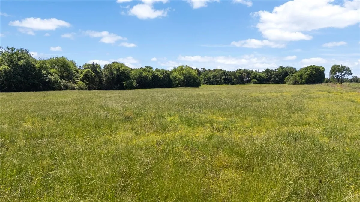Unimproved Land For Sale in Hopkins County , 279 County Road 2395, Winnsboro, Texas 75494, 0, 0, Garage spaces, 0 Sqft, built in 0, Price $637,500, mls#21288778, Real Estate Agent in Winnsboro, Homes For Sale in Hopkins county, Homes For Sale in Winnsboro, Realtor in Winnsboro Texas, Real Estate Brokerage Independent Realty Texas, Luminita Cordes Realtor