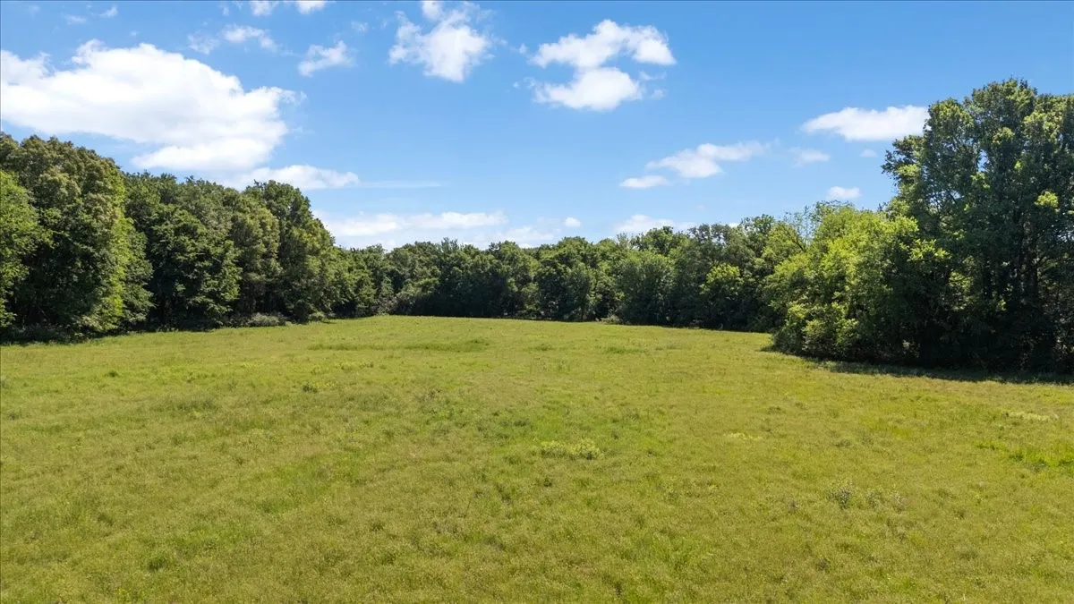 Unimproved Land For Sale in Hopkins County , 279 County Road 2395, Winnsboro, Texas 75494, 0, 0, Garage spaces, 0 Sqft, built in 0, Price $637,500, mls#21288778, Real Estate Agent in Winnsboro, Homes For Sale in Hopkins county, Homes For Sale in Winnsboro, Realtor in Winnsboro Texas, Real Estate Brokerage Independent Realty Texas, Luminita Cordes Realtor