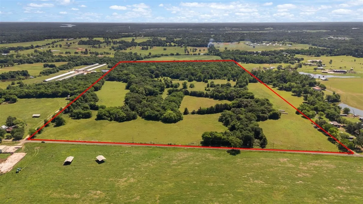 Unimproved Land For Sale in Hopkins County , 279 County Road 2395, Winnsboro, Texas 75494, 0, 0, Garage spaces, 0 Sqft, built in 0, Price $637,500, mls#21288778, Real Estate Agent in Winnsboro, Homes For Sale in Hopkins county, Homes For Sale in Winnsboro, Realtor in Winnsboro Texas, Real Estate Brokerage Independent Realty Texas, Luminita Cordes Realtor
