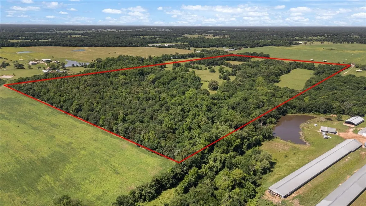 Unimproved Land For Sale in Hopkins County , 279 County Road 2395, Winnsboro, Texas 75494, 0, 0, Garage spaces, 0 Sqft, built in 0, Price $637,500, mls#21288778, Real Estate Agent in Winnsboro, Homes For Sale in Hopkins county, Homes For Sale in Winnsboro, Realtor in Winnsboro Texas, Real Estate Brokerage Independent Realty Texas, Luminita Cordes Realtor