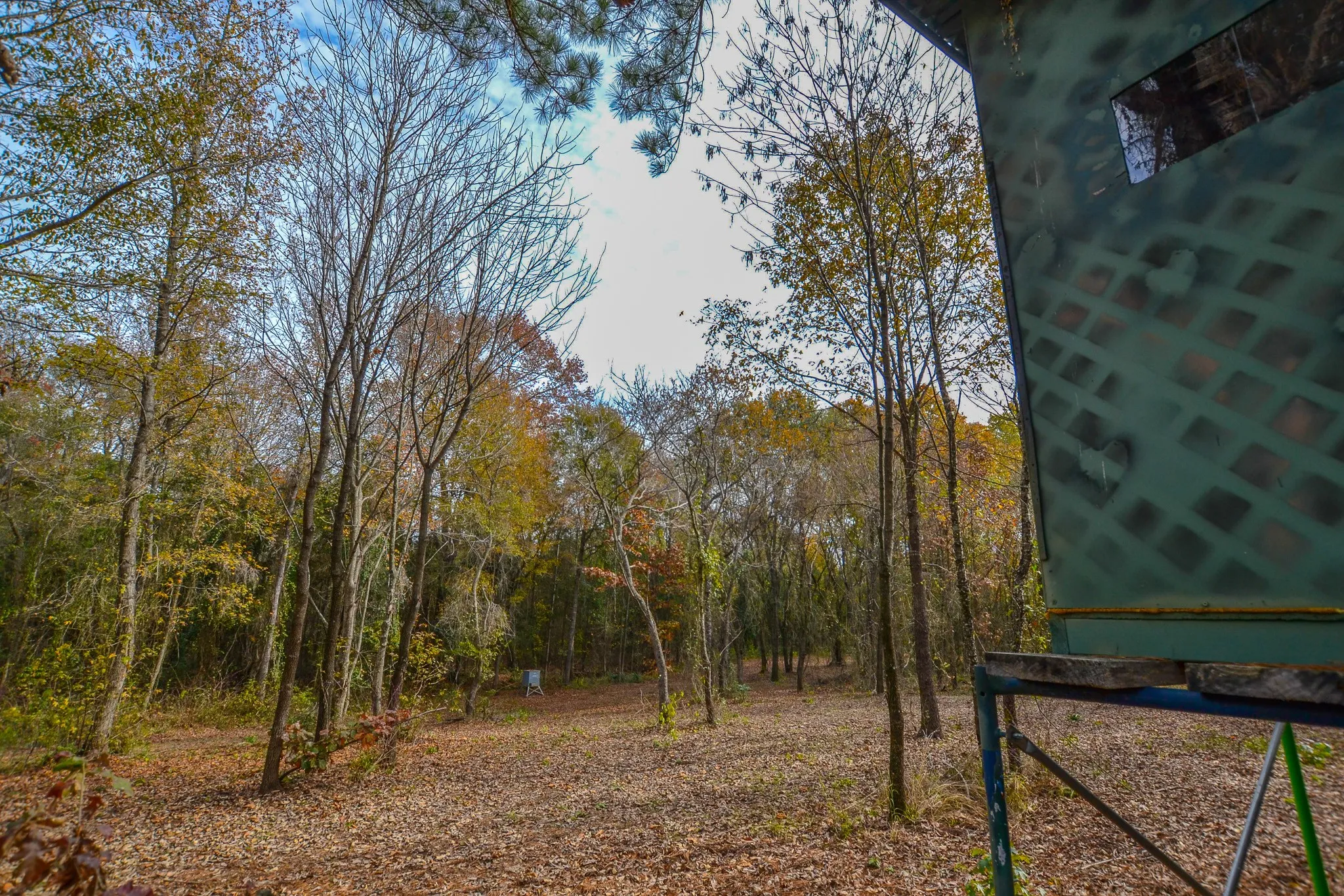 Unimproved Land For Sale in Wood County , 0 CR 4960, Quitman, Texas 75783, 0, 0, Garage spaces, 0 Sqft, built in 0, mls#21288814, Real Estate Agent in Quitman, Homes For Sale in Wood county, Homes For Sale in Quitman, Realtor in Quitman Texas, Real Estate Brokerage Independent Realty Texas, Luminita Cordes Realtor