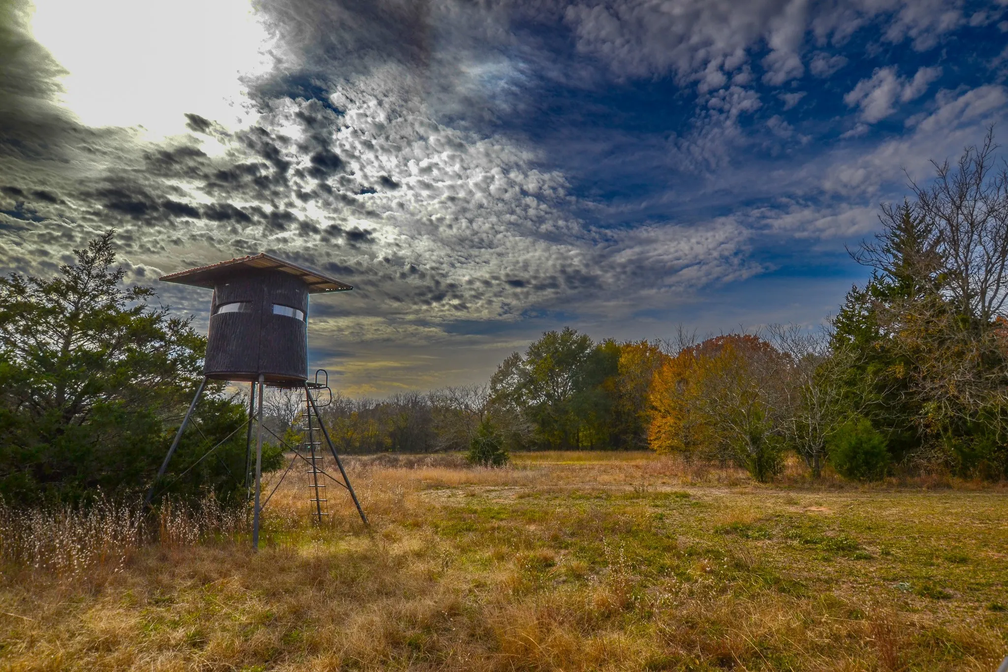 Unimproved Land For Sale in Wood County , 0 CR 4960, Quitman, Texas 75783, 0, 0, Garage spaces, 0 Sqft, built in 0, mls#21288814, Real Estate Agent in Quitman, Homes For Sale in Wood county, Homes For Sale in Quitman, Realtor in Quitman Texas, Real Estate Brokerage Independent Realty Texas, Luminita Cordes Realtor