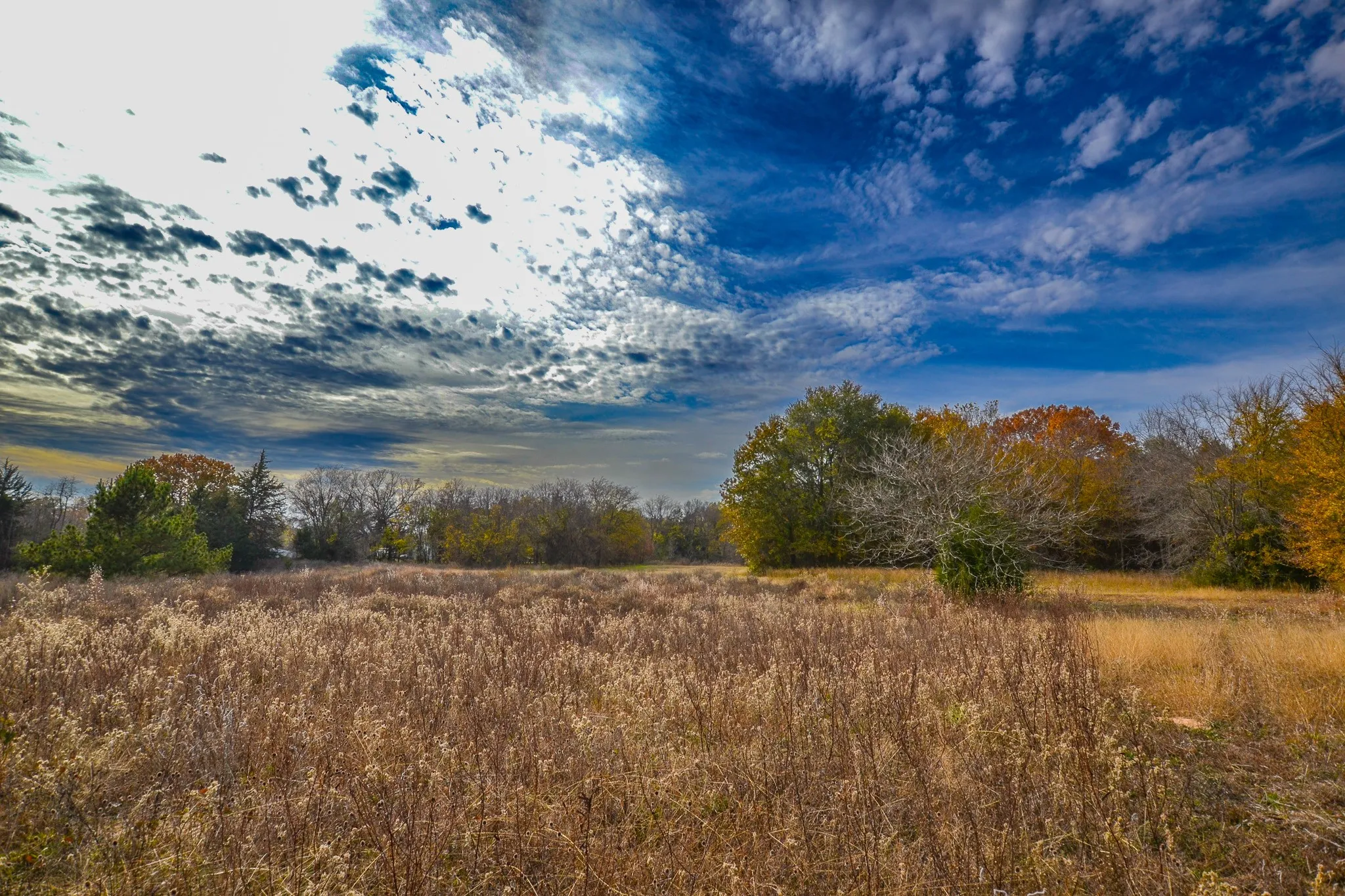Unimproved Land For Sale in Wood County , 0 CR 4960, Quitman, Texas 75783, 0, 0, Garage spaces, 0 Sqft, built in 0, mls#21288814, Real Estate Agent in Quitman, Homes For Sale in Wood county, Homes For Sale in Quitman, Realtor in Quitman Texas, Real Estate Brokerage Independent Realty Texas, Luminita Cordes Realtor
