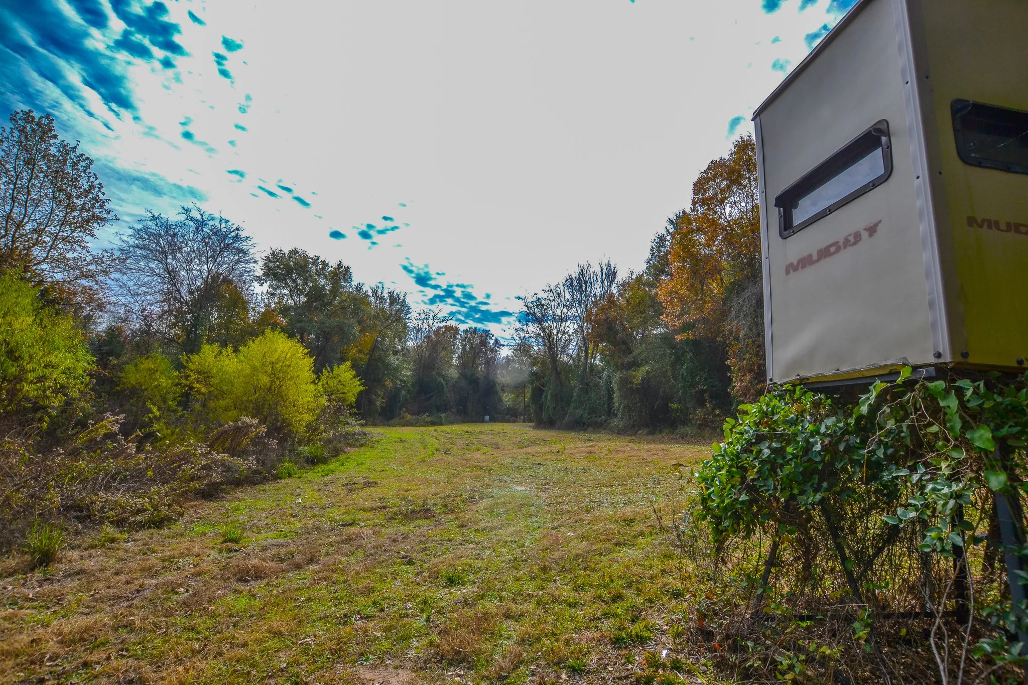 Unimproved Land For Sale in Wood County , 0 CR 4960, Quitman, Texas 75783, 0, 0, Garage spaces, 0 Sqft, built in 0, mls#21288814, Real Estate Agent in Quitman, Homes For Sale in Wood county, Homes For Sale in Quitman, Realtor in Quitman Texas, Real Estate Brokerage Independent Realty Texas, Luminita Cordes Realtor