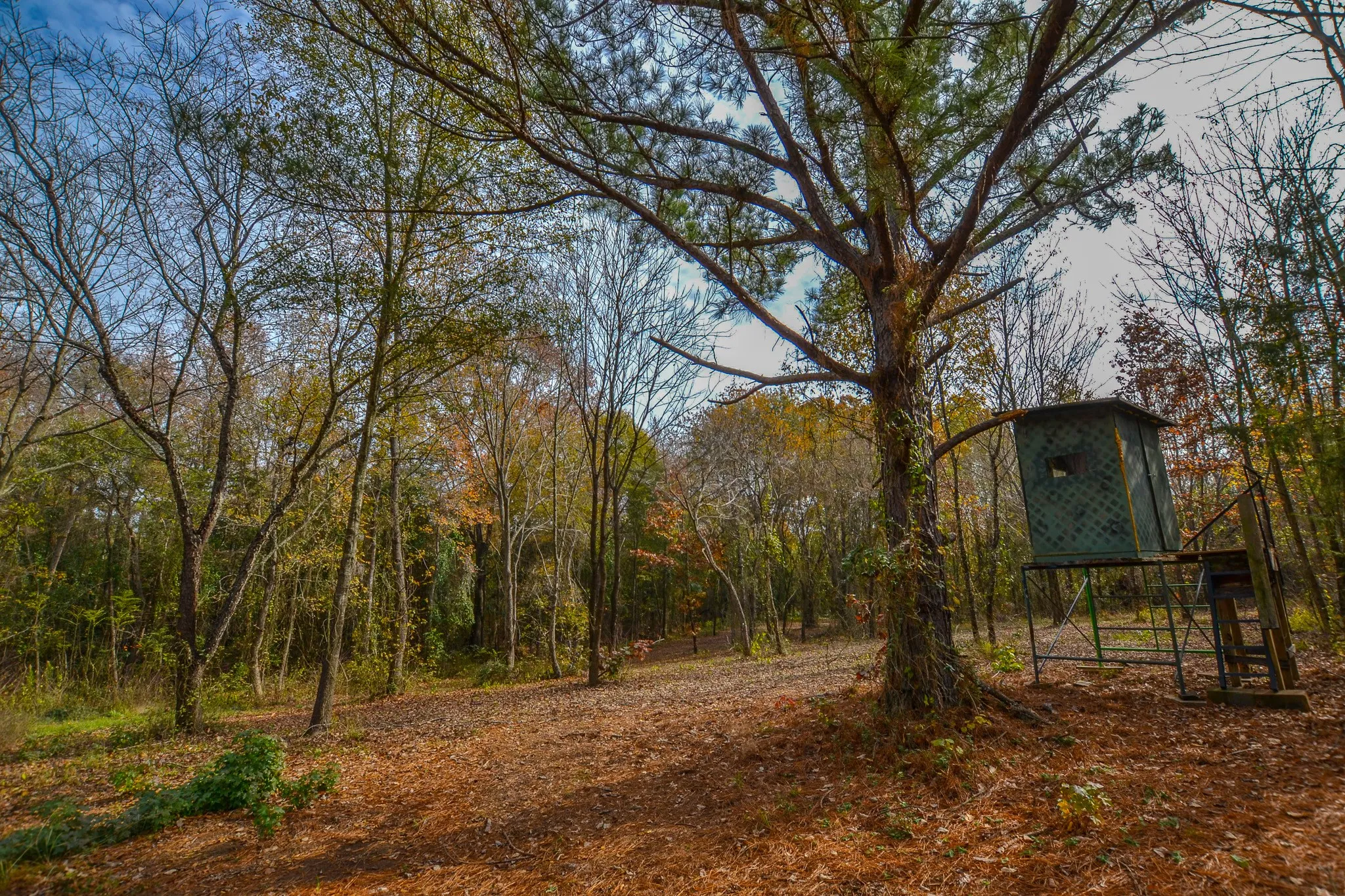 Unimproved Land For Sale in Wood County , 0 CR 4960, Quitman, Texas 75783, 0, 0, Garage spaces, 0 Sqft, built in 0, mls#21288814, Real Estate Agent in Quitman, Homes For Sale in Wood county, Homes For Sale in Quitman, Realtor in Quitman Texas, Real Estate Brokerage Independent Realty Texas, Luminita Cordes Realtor