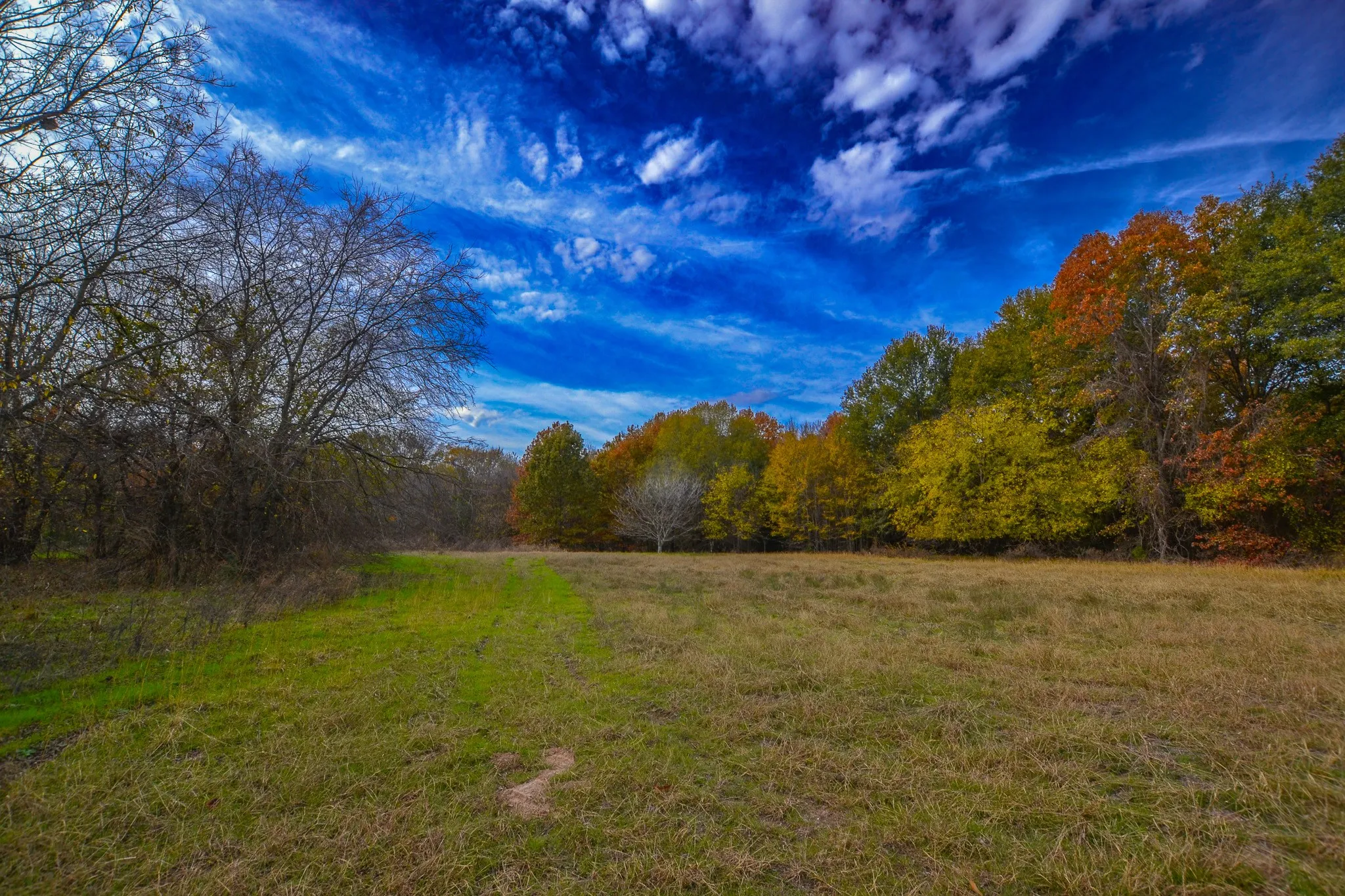 Unimproved Land For Sale in Wood County , 0 CR 4960, Quitman, Texas 75783, 0, 0, Garage spaces, 0 Sqft, built in 0, mls#21288814, Real Estate Agent in Quitman, Homes For Sale in Wood county, Homes For Sale in Quitman, Realtor in Quitman Texas, Real Estate Brokerage Independent Realty Texas, Luminita Cordes Realtor