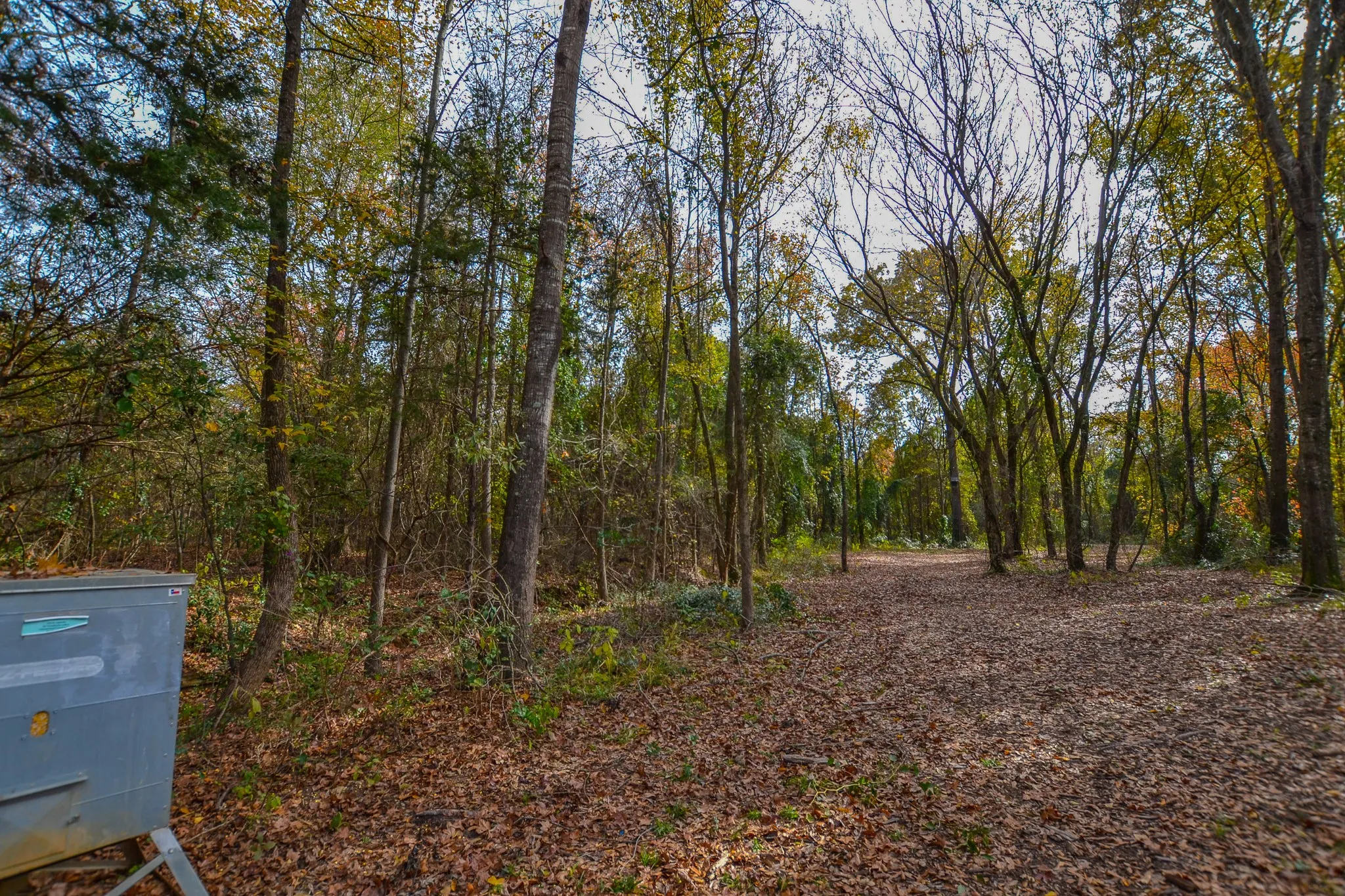 Unimproved Land For Sale in Wood County , 0 CR 4960, Quitman, Texas 75783, 0, 0, Garage spaces, 0 Sqft, built in 0, mls#21288814, Real Estate Agent in Quitman, Homes For Sale in Wood county, Homes For Sale in Quitman, Realtor in Quitman Texas, Real Estate Brokerage Independent Realty Texas, Luminita Cordes Realtor