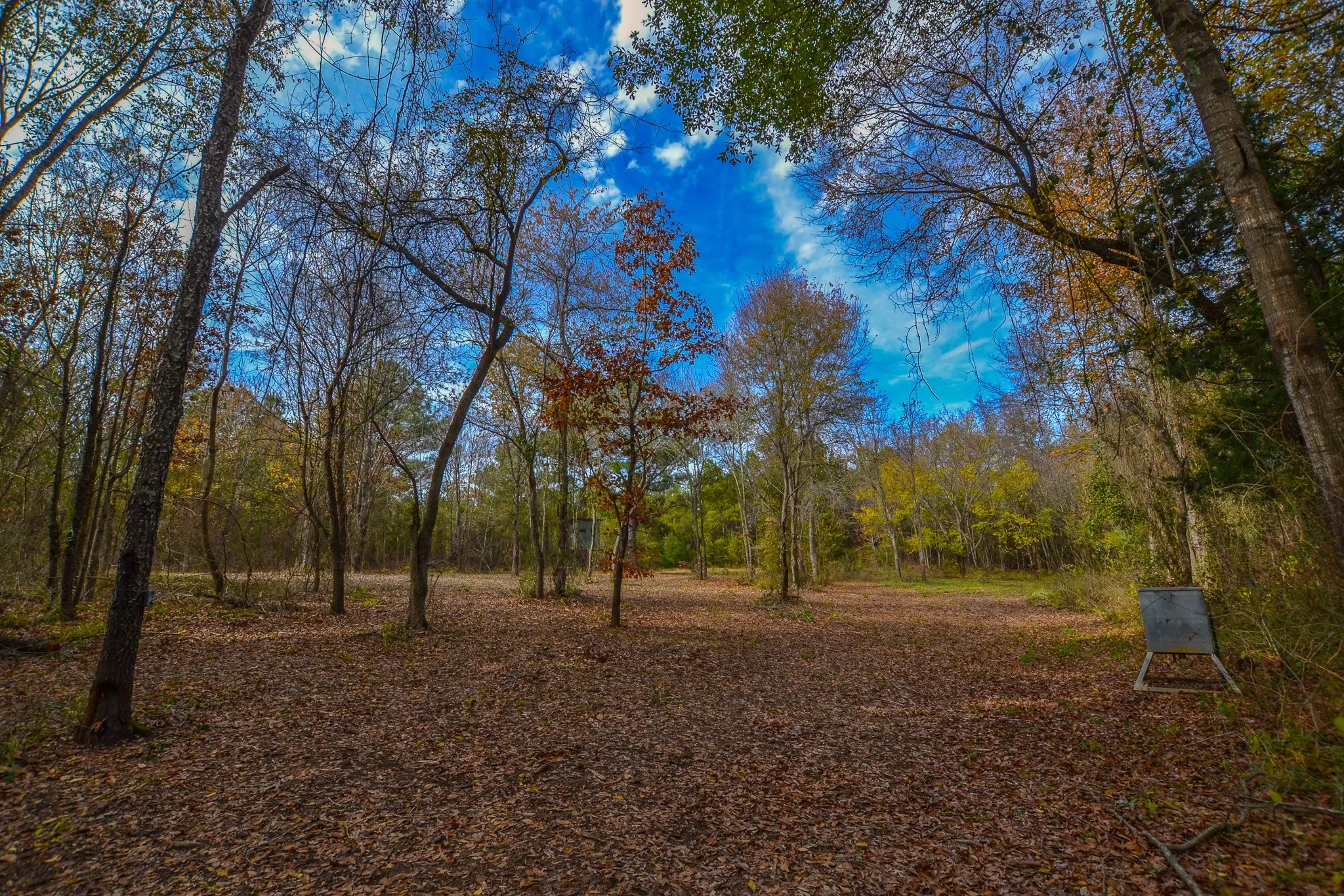 Unimproved Land For Sale in Wood County , 0 CR 4960, Quitman, Texas 75783, 0, 0, Garage spaces, 0 Sqft, built in 0, mls#21288814, Real Estate Agent in Quitman, Homes For Sale in Wood county, Homes For Sale in Quitman, Realtor in Quitman Texas, Real Estate Brokerage Independent Realty Texas, Luminita Cordes Realtor