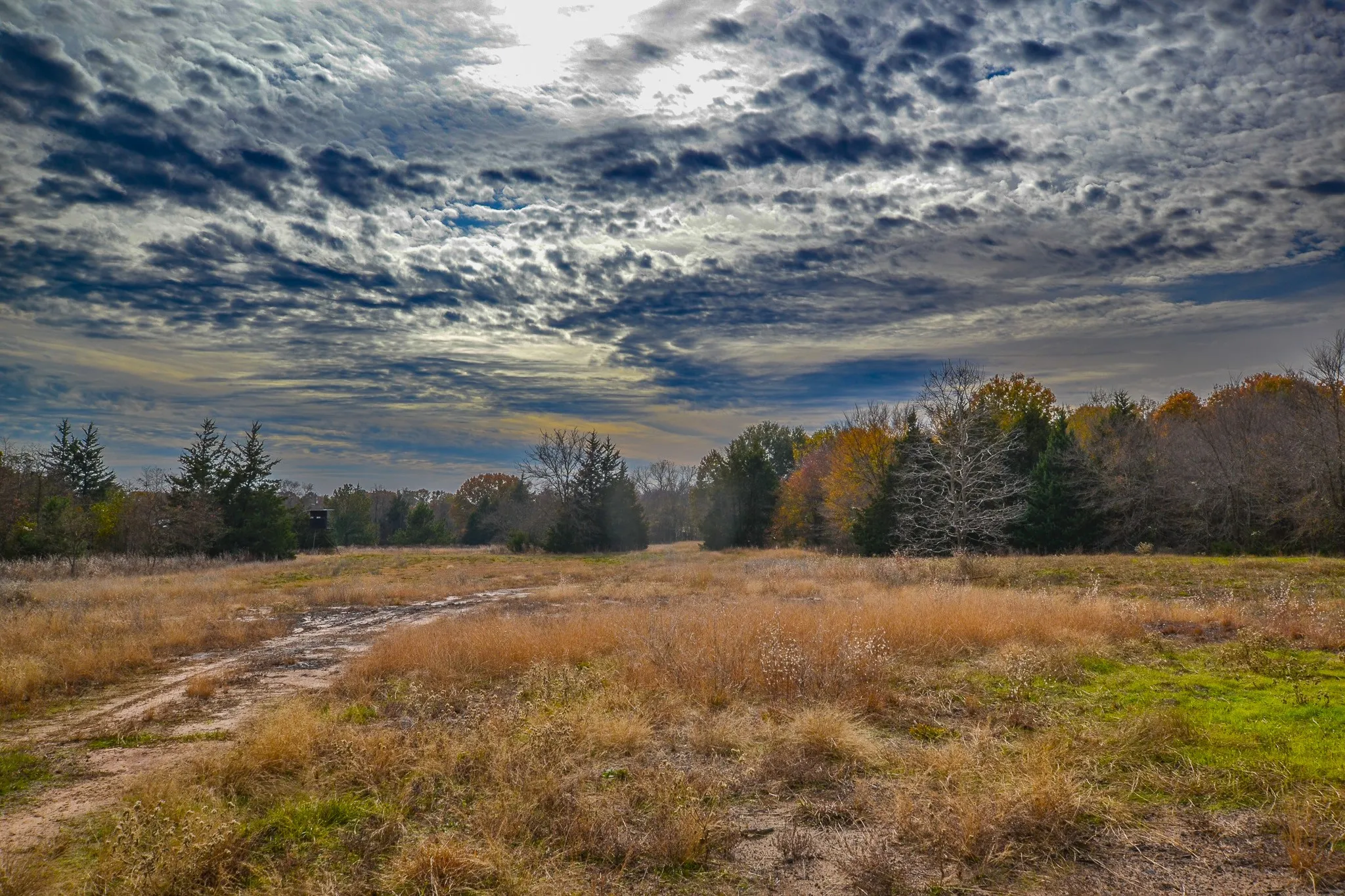 Unimproved Land For Sale in Wood County , 0 CR 4960, Quitman, Texas 75783, 0, 0, Garage spaces, 0 Sqft, built in 0, mls#21288814, Real Estate Agent in Quitman, Homes For Sale in Wood county, Homes For Sale in Quitman, Realtor in Quitman Texas, Real Estate Brokerage Independent Realty Texas, Luminita Cordes Realtor