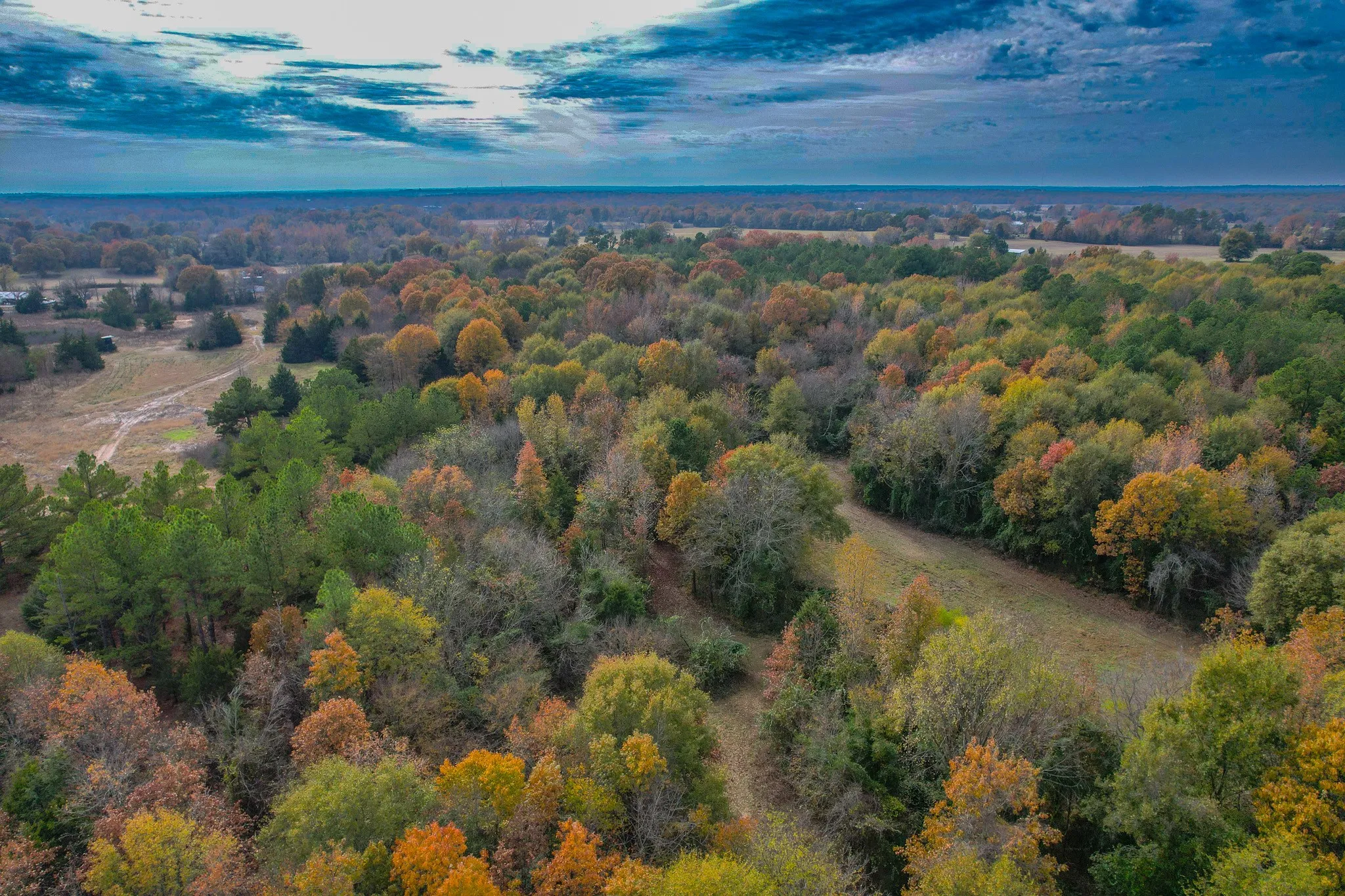 Unimproved Land For Sale in Wood County , 0 CR 4960, Quitman, Texas 75783, 0, 0, Garage spaces, 0 Sqft, built in 0, mls#21288814, Real Estate Agent in Quitman, Homes For Sale in Wood county, Homes For Sale in Quitman, Realtor in Quitman Texas, Real Estate Brokerage Independent Realty Texas, Luminita Cordes Realtor
