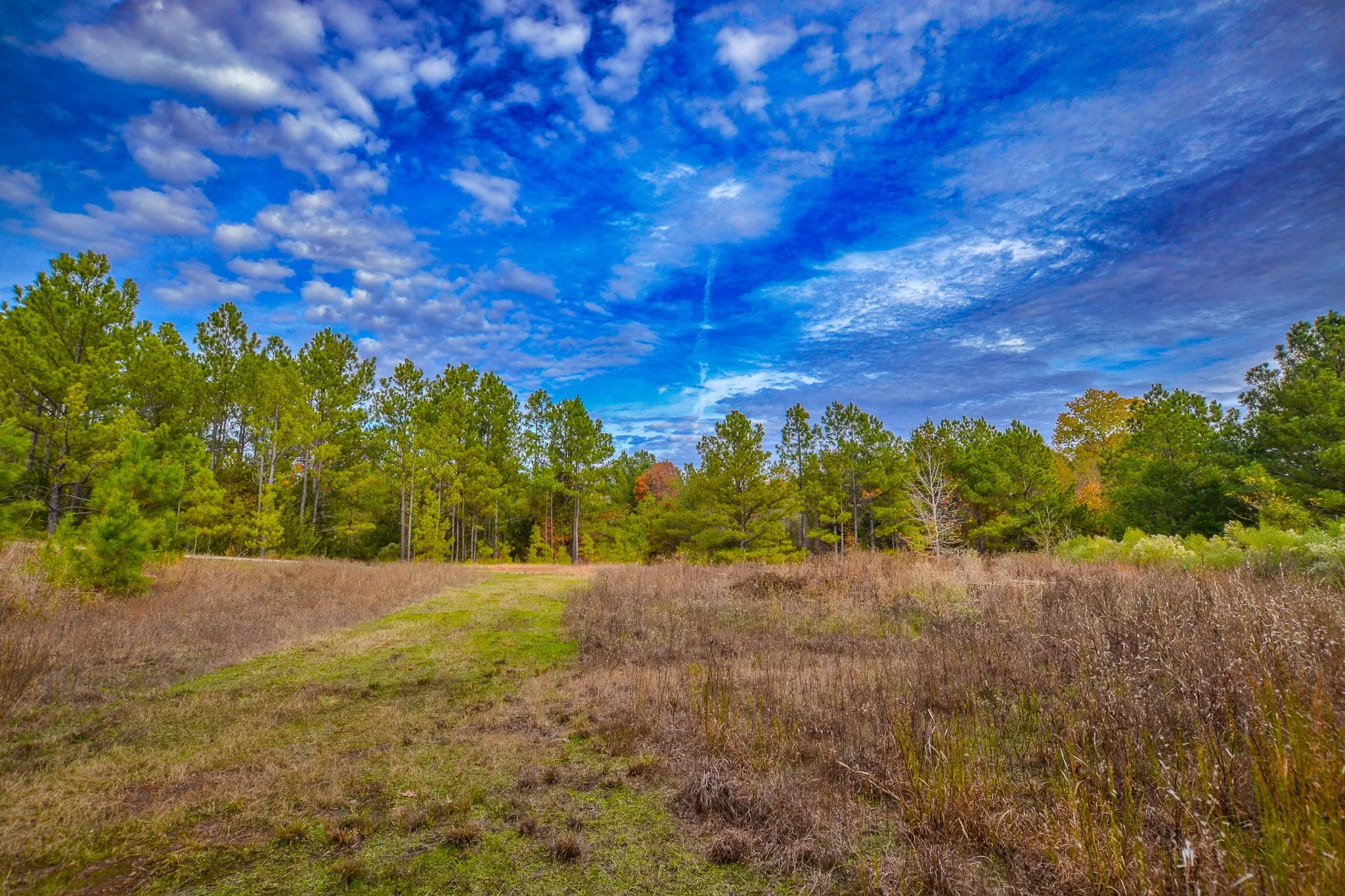 Unimproved Land For Sale in Wood County , 0 CR 4960, Quitman, Texas 75783, 0, 0, Garage spaces, 0 Sqft, built in 0, mls#21288814, Real Estate Agent in Quitman, Homes For Sale in Wood county, Homes For Sale in Quitman, Realtor in Quitman Texas, Real Estate Brokerage Independent Realty Texas, Luminita Cordes Realtor