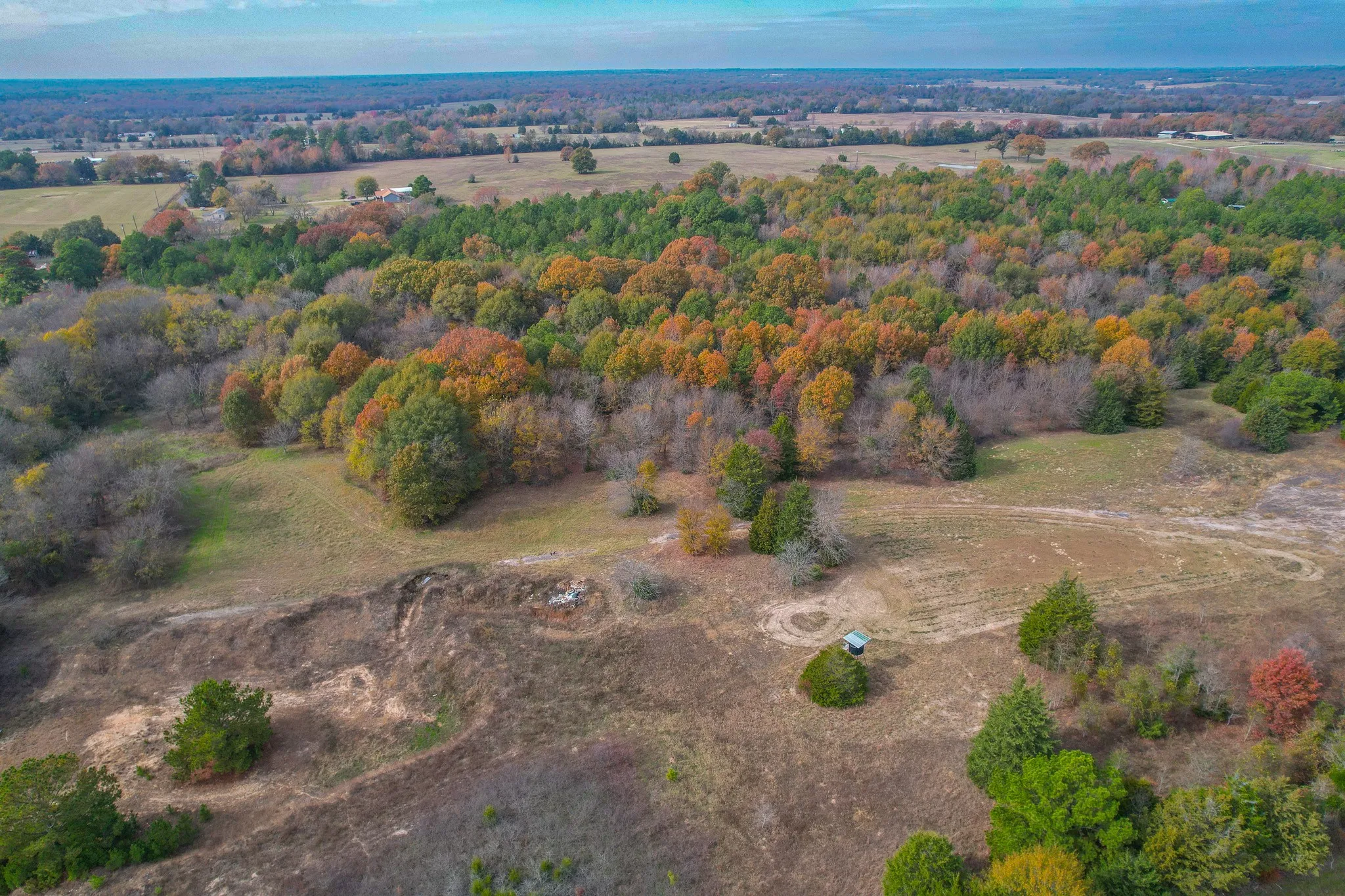 Unimproved Land For Sale in Wood County , 0 CR 4960, Quitman, Texas 75783, 0, 0, Garage spaces, 0 Sqft, built in 0, mls#21288814, Real Estate Agent in Quitman, Homes For Sale in Wood county, Homes For Sale in Quitman, Realtor in Quitman Texas, Real Estate Brokerage Independent Realty Texas, Luminita Cordes Realtor