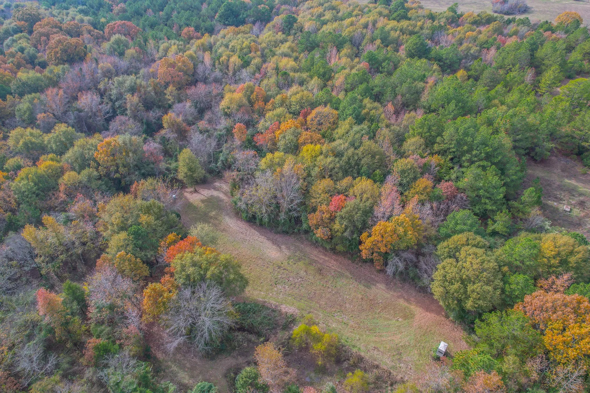 Unimproved Land For Sale in Wood County , 0 CR 4960, Quitman, Texas 75783, 0, 0, Garage spaces, 0 Sqft, built in 0, mls#21288814, Real Estate Agent in Quitman, Homes For Sale in Wood county, Homes For Sale in Quitman, Realtor in Quitman Texas, Real Estate Brokerage Independent Realty Texas, Luminita Cordes Realtor
