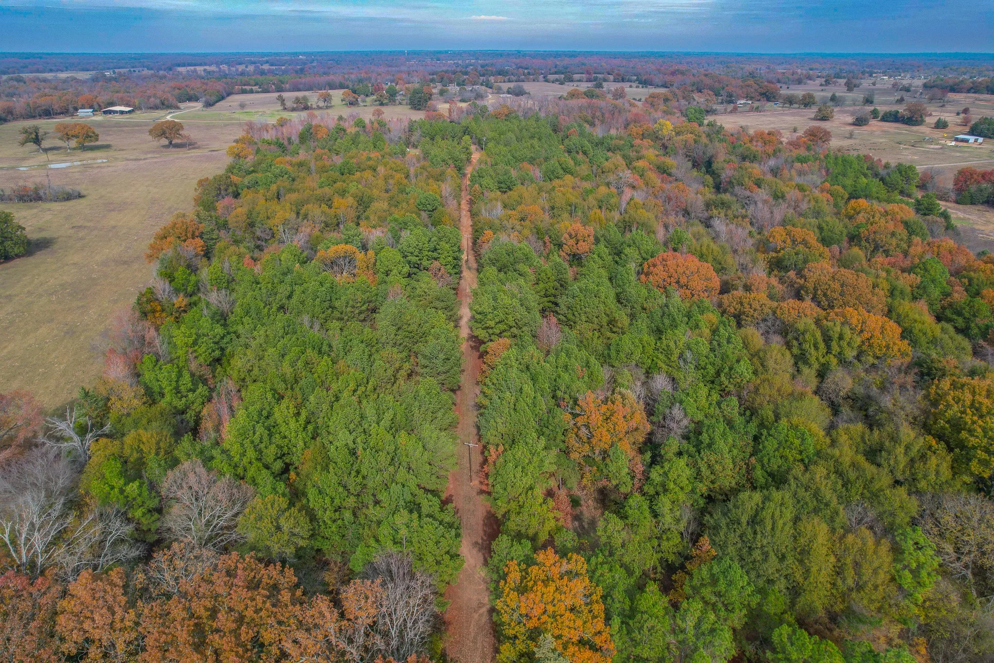 Unimproved Land For Sale in Wood County , 0 CR 4960, Quitman, Texas 75783, 0, 0, Garage spaces, 0 Sqft, built in 0, mls#21288814, Real Estate Agent in Quitman, Homes For Sale in Wood county, Homes For Sale in Quitman, Realtor in Quitman Texas, Real Estate Brokerage Independent Realty Texas, Luminita Cordes Realtor