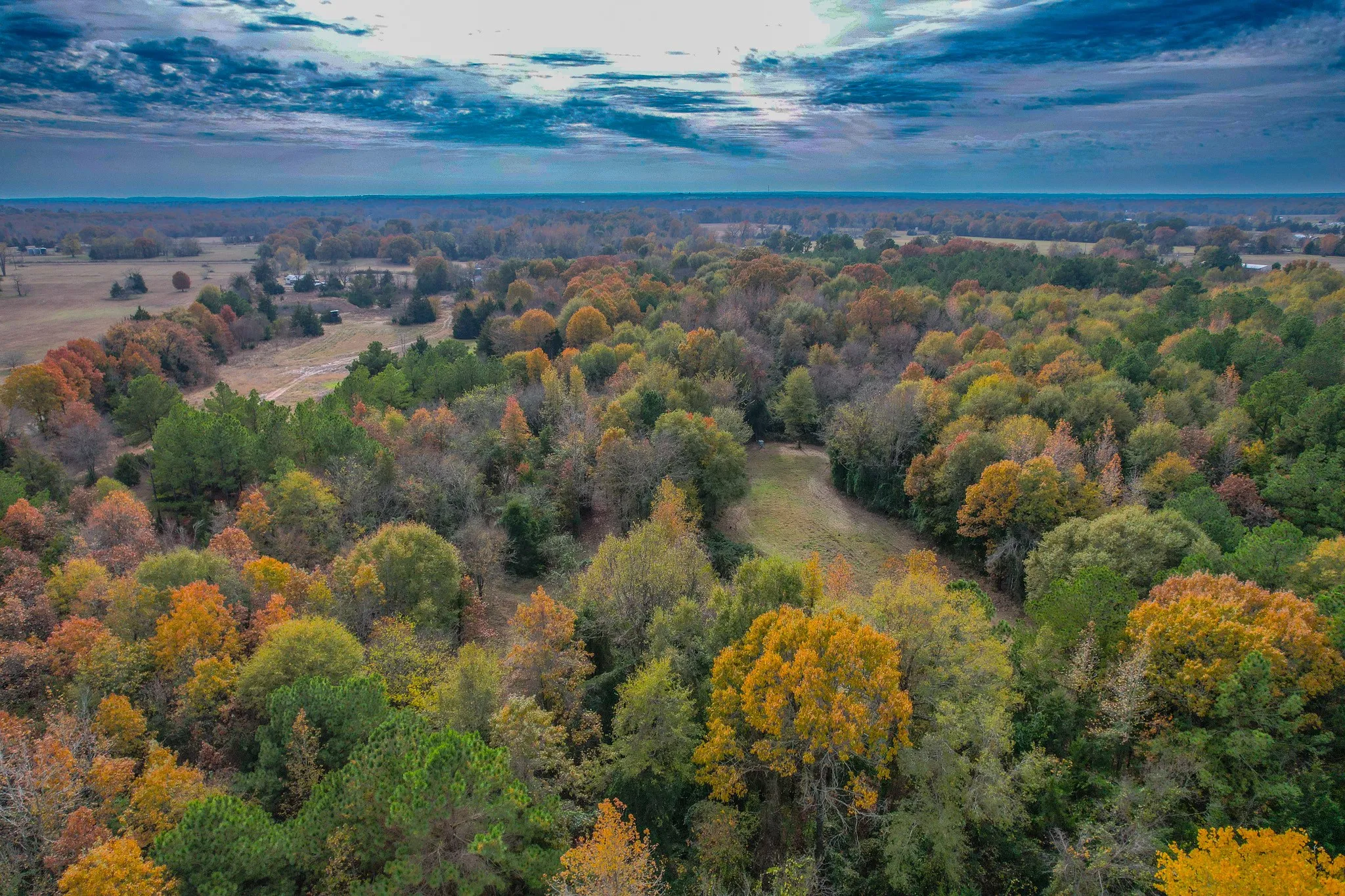 Unimproved Land For Sale in Wood County , 0 CR 4960, Quitman, Texas 75783, 0, 0, Garage spaces, 0 Sqft, built in 0, mls#21288814, Real Estate Agent in Quitman, Homes For Sale in Wood county, Homes For Sale in Quitman, Realtor in Quitman Texas, Real Estate Brokerage Independent Realty Texas, Luminita Cordes Realtor