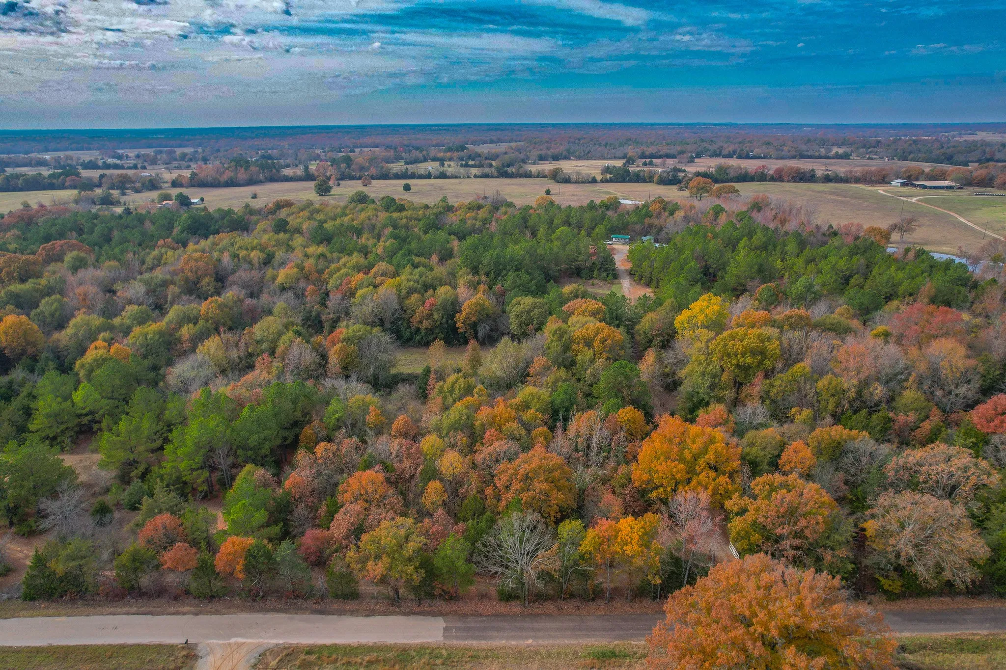 Unimproved Land For Sale in Wood County , 0 CR 4960, Quitman, Texas 75783, 0, 0, Garage spaces, 0 Sqft, built in 0, mls#21288814, Real Estate Agent in Quitman, Homes For Sale in Wood county, Homes For Sale in Quitman, Realtor in Quitman Texas, Real Estate Brokerage Independent Realty Texas, Luminita Cordes Realtor