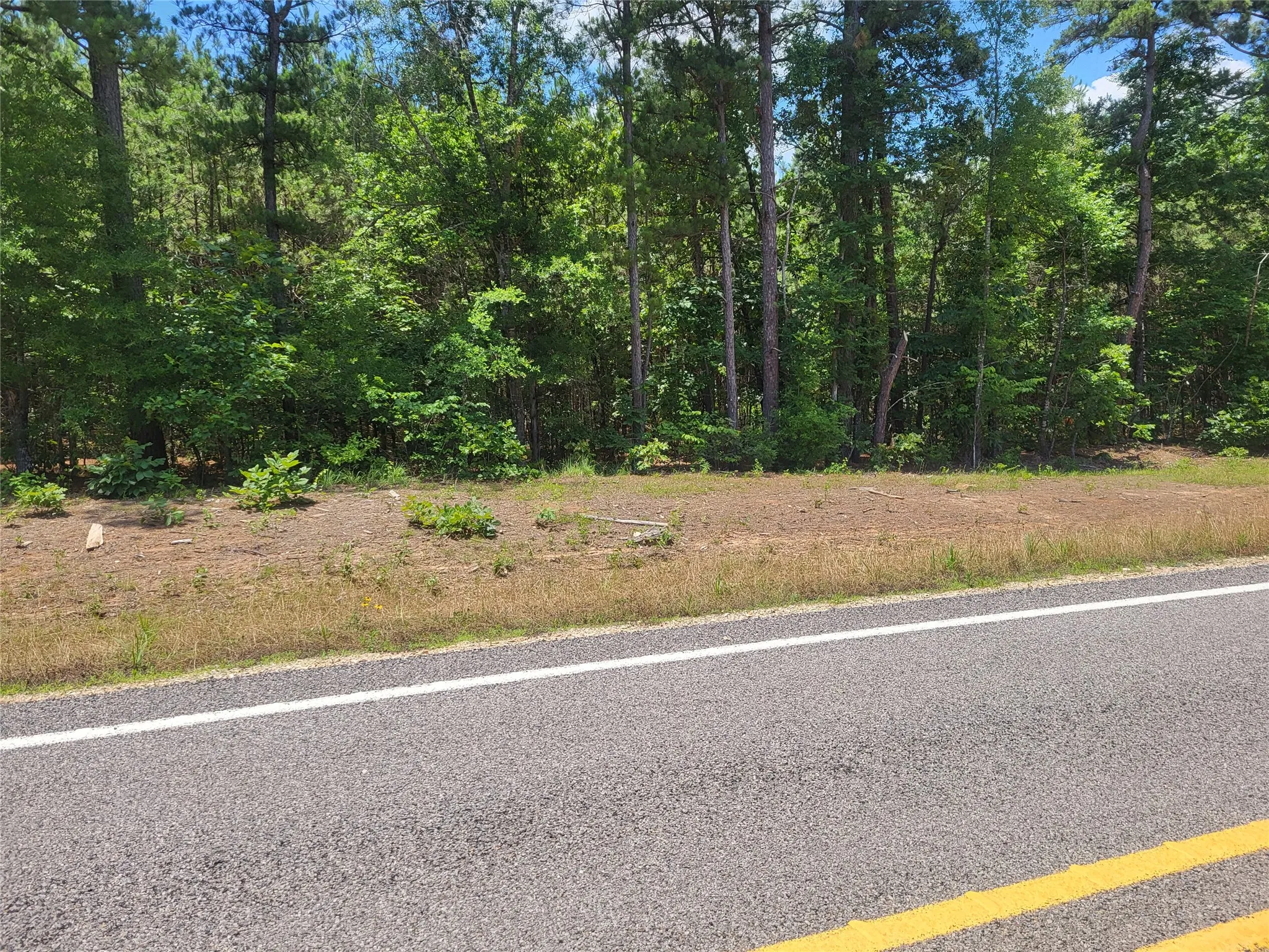 Unimproved Land For Sale in Red River (TX) County , tbd fm 2120 Highway, Bagwell, Texas 75412, 0, 0, Garage spaces, 0 Sqft, built in 0, Price $160,000, mls#21288181, Real Estate Agent in Bagwell, Homes For Sale in Red River (TX) county, Homes For Sale in Bagwell, Realtor in Bagwell Texas, Real Estate Brokerage Independent Realty Texas, Luminita Cordes Realtor