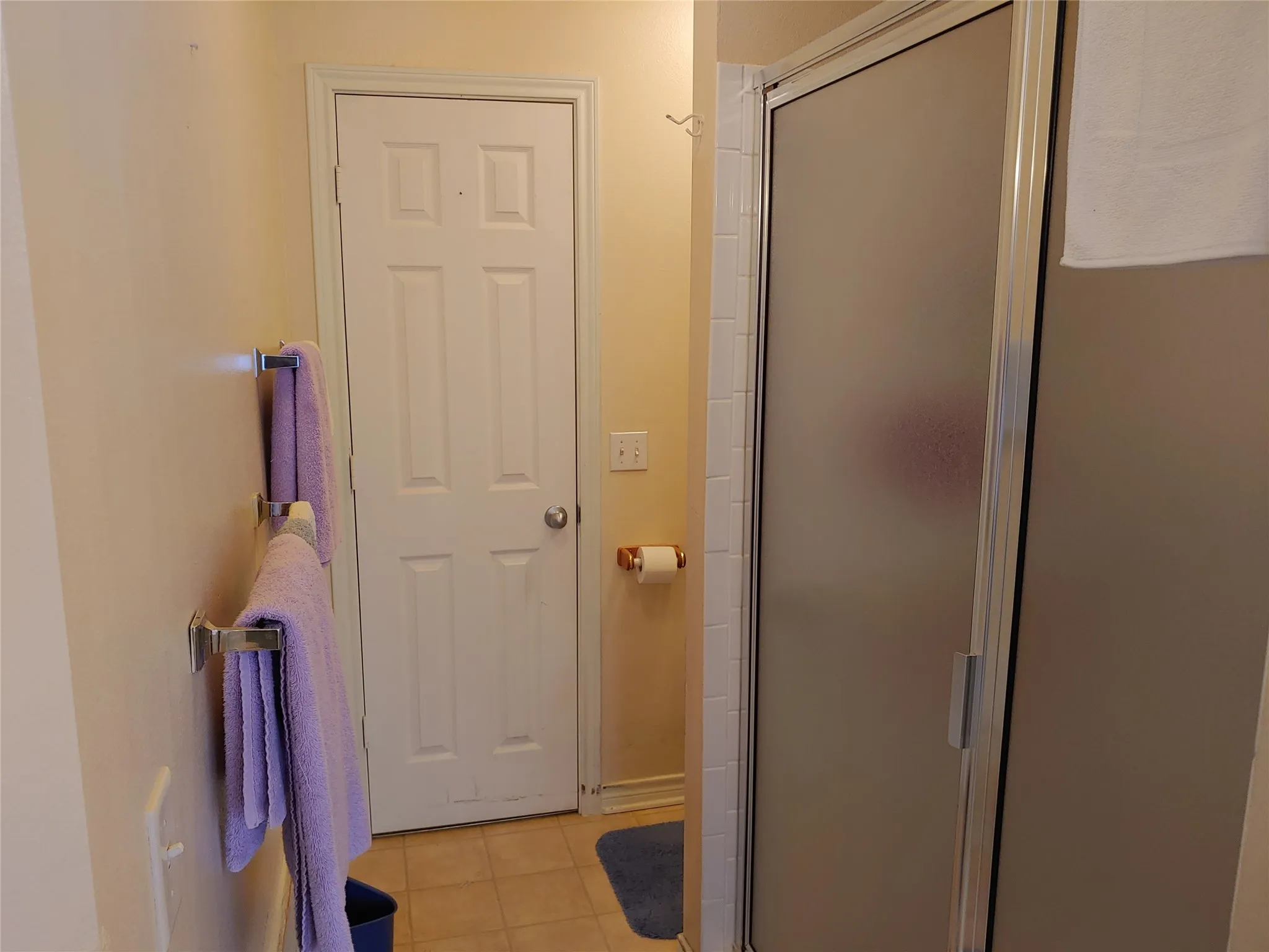 Frosted glass shower enclosure with white tile surround