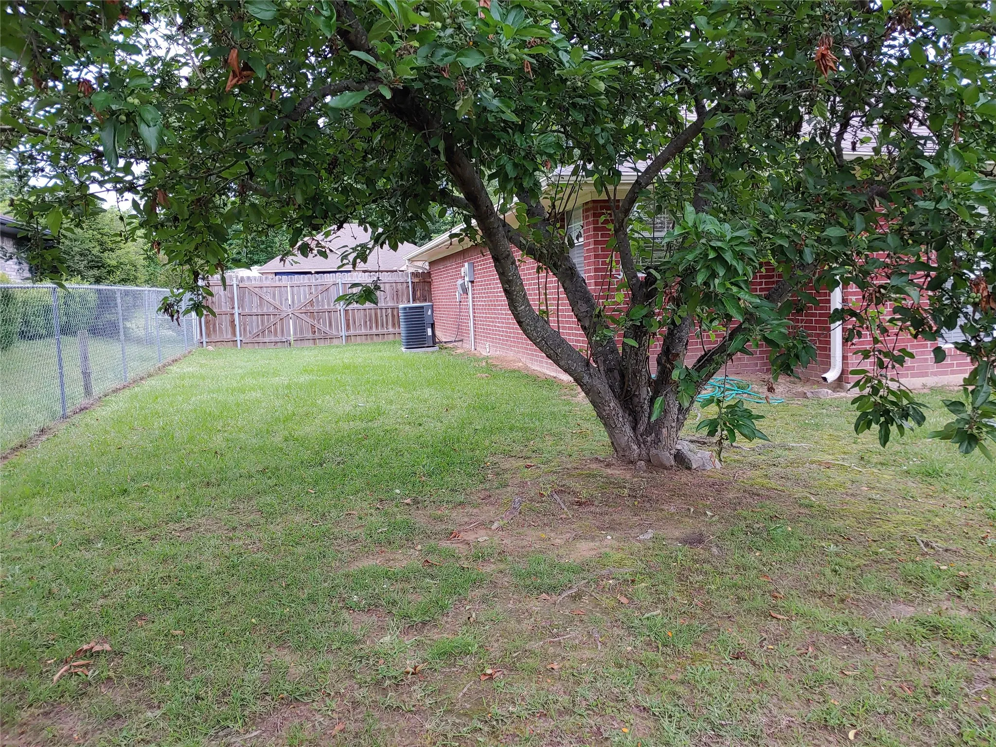 Expansive backyard with established tree, chain-link fencing, and brick exterior