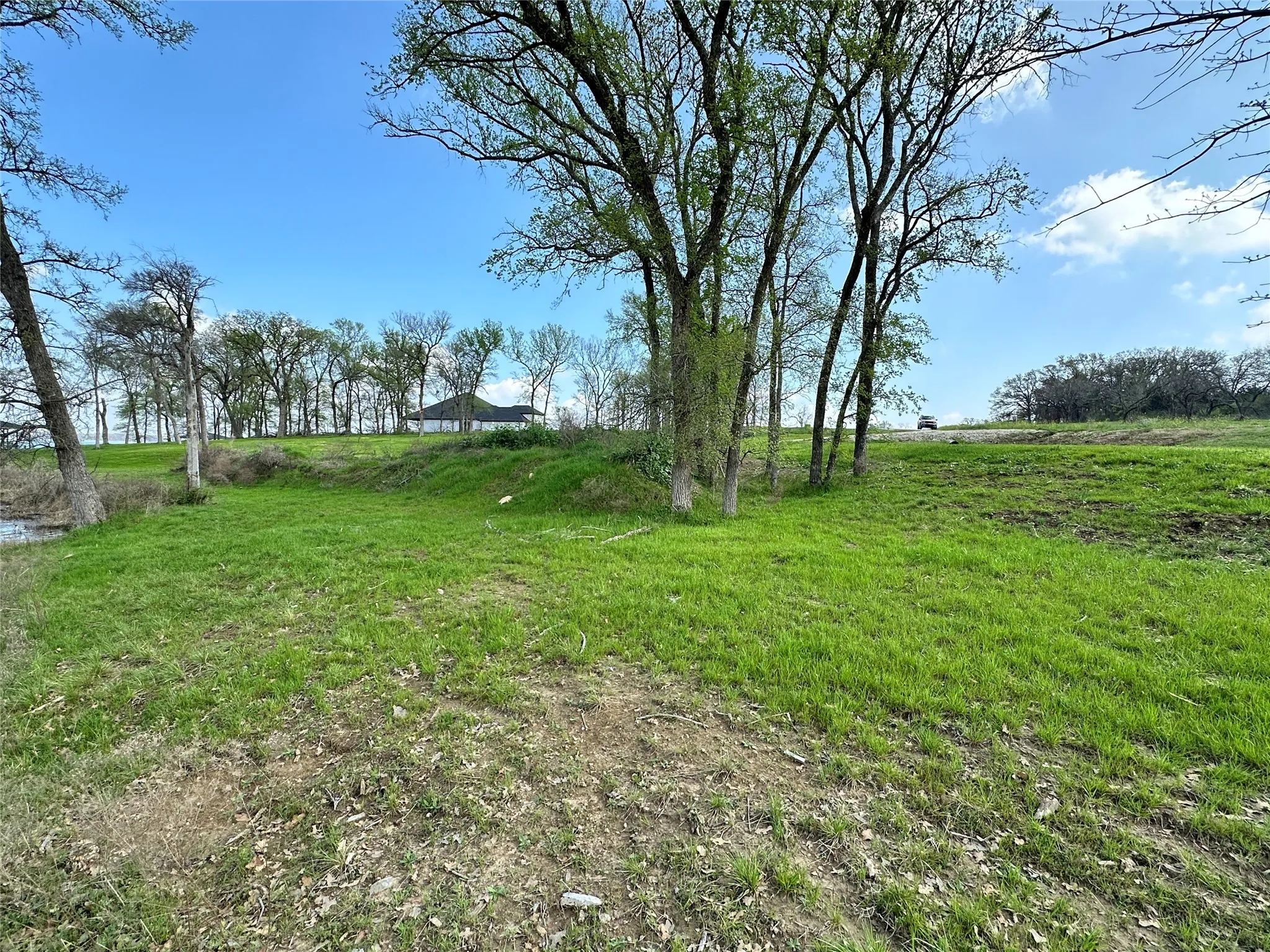 Mature trees add shade, privacy, and character to this build-ready Richland Chambers Lake homesite.